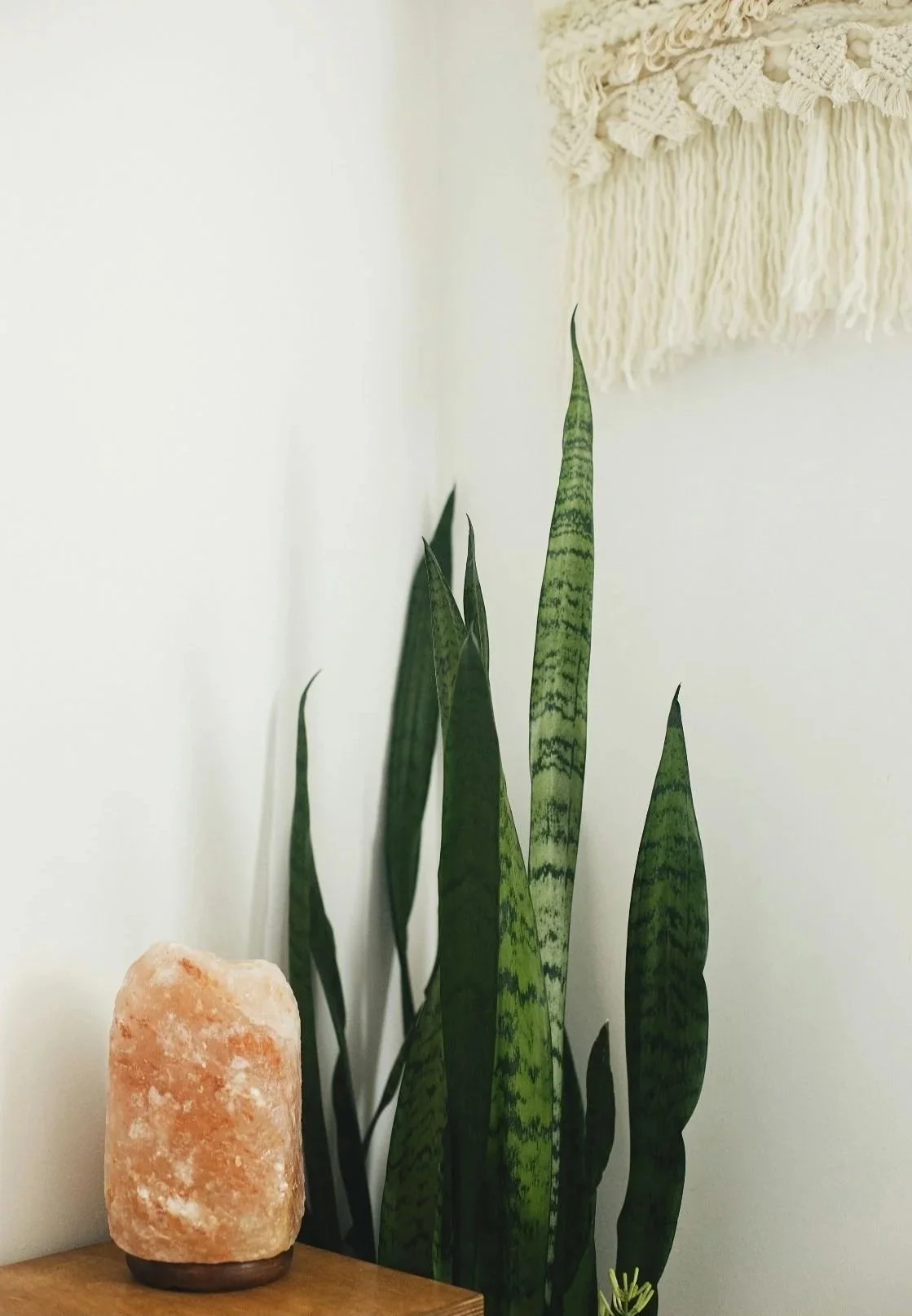 Finding Calm Within