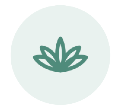 Women's health icon — a lotus flower