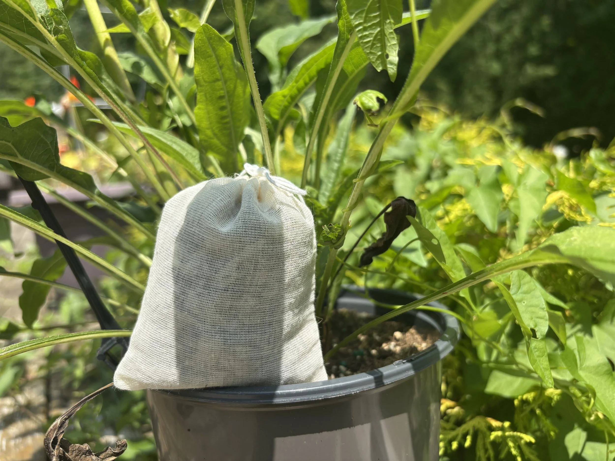 Mugwort Sleep Sachet