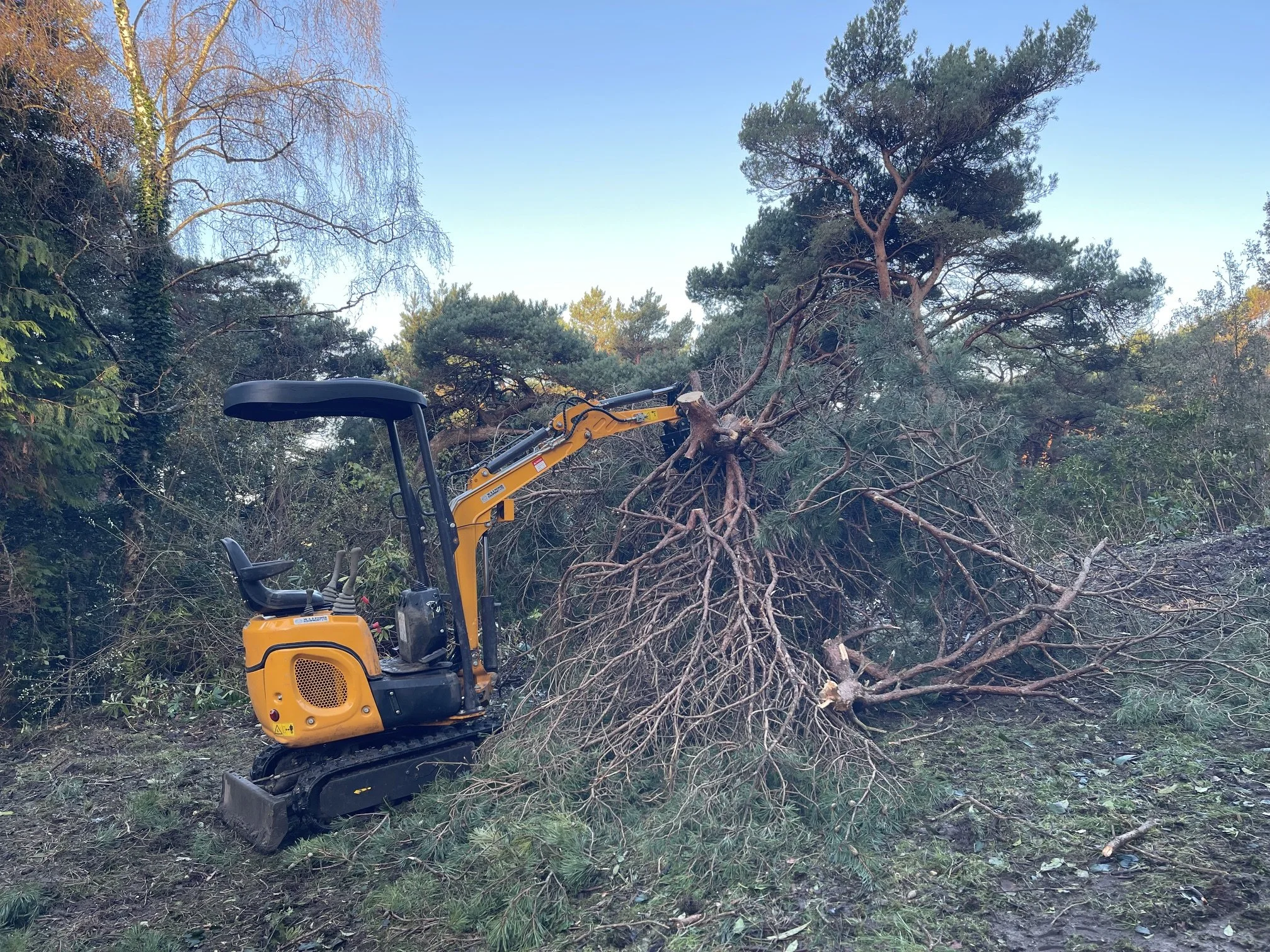 Site and Land Clearance