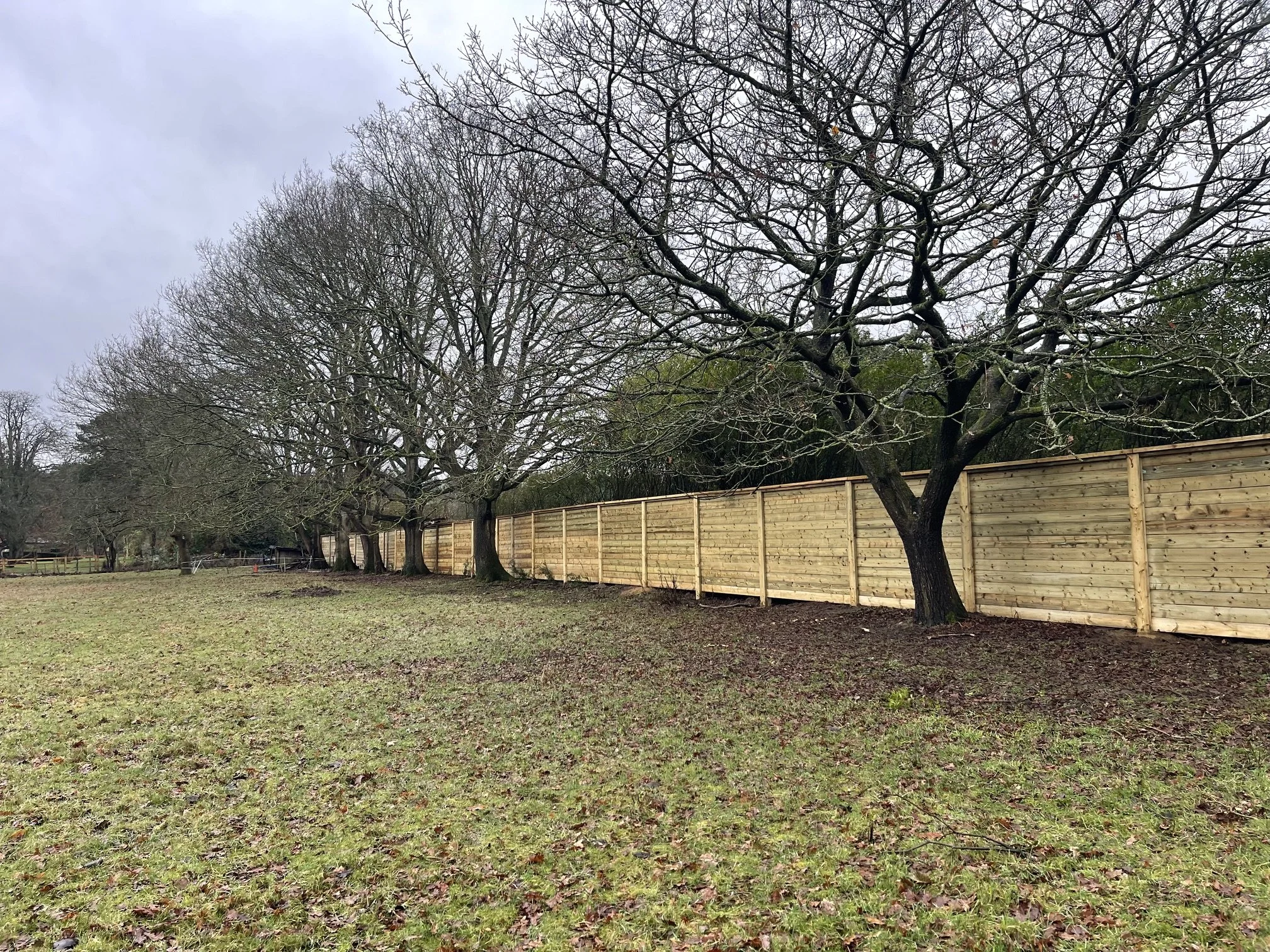 Fencing