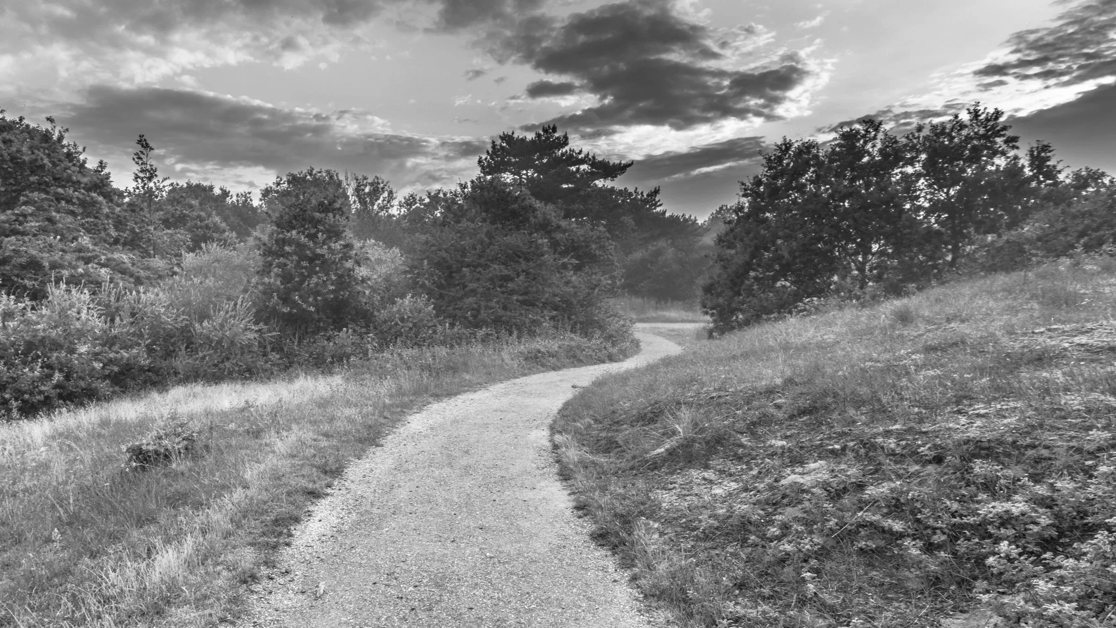 Winding dirt path