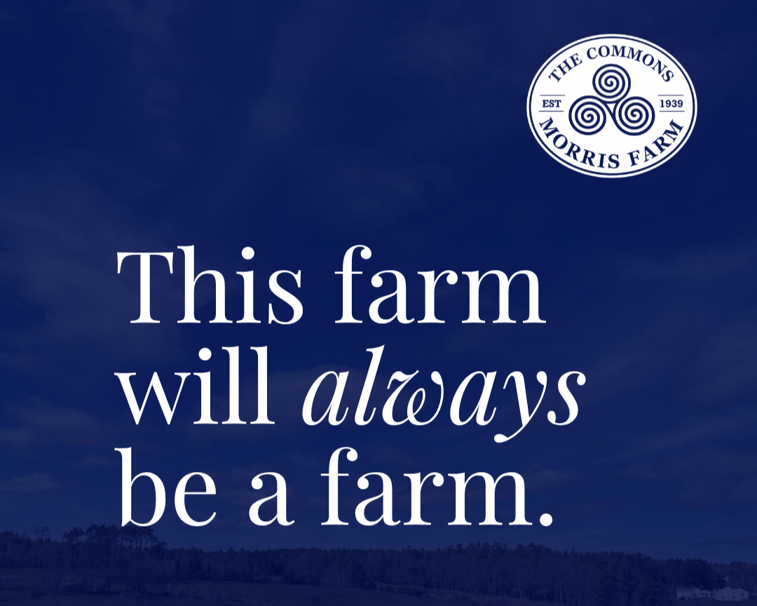 Meet The Commons at Morris Farm 
