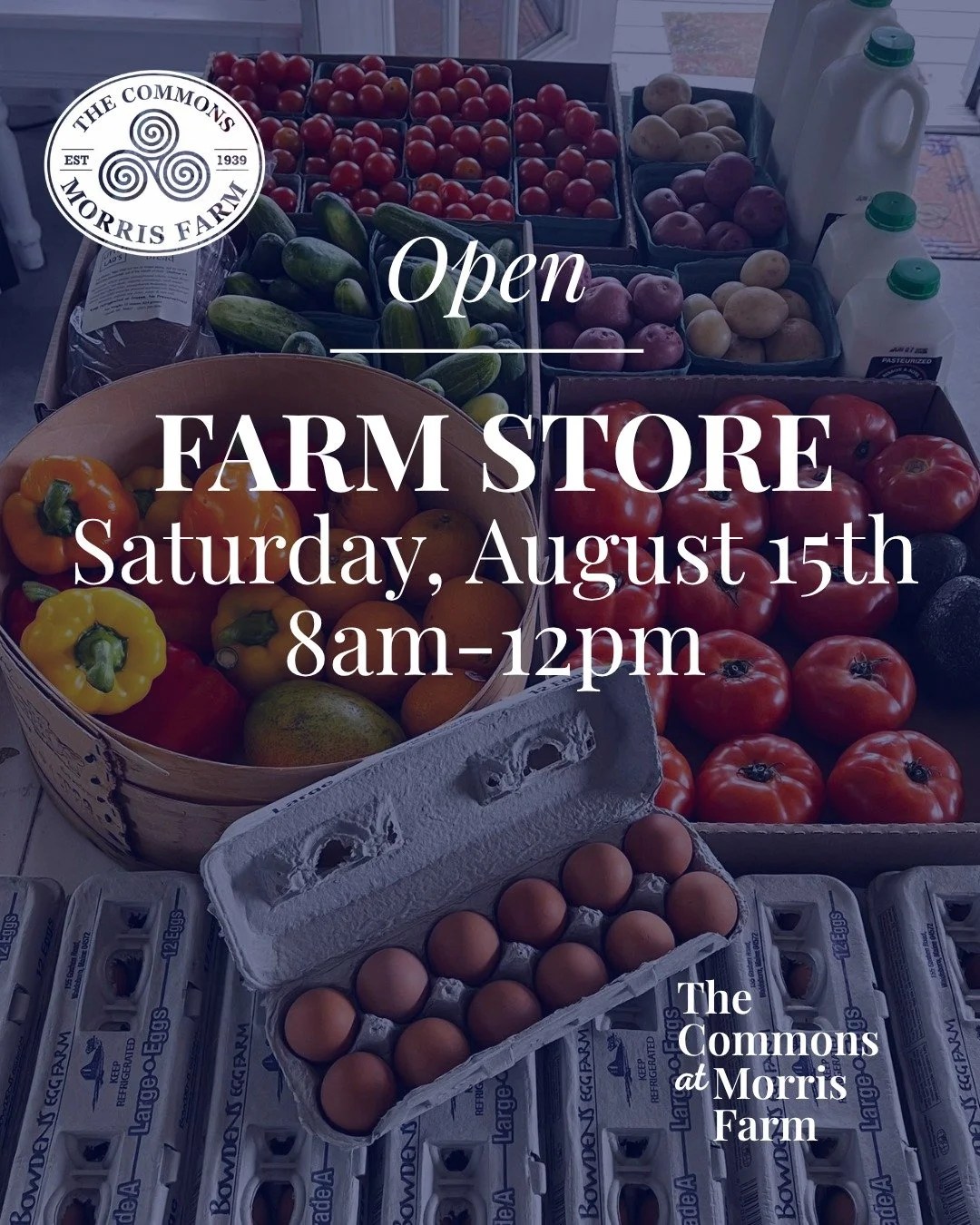 The soil continues to share its generous gifts as late summer unfolds. 🌿✨

We&rsquo;re so excited to welcome you back to the farm store this Saturday from 8:00 AM &ndash; 12:00 PM!

Along with last week&rsquo;s beautiful bounties&mdash;fresh eggs, s