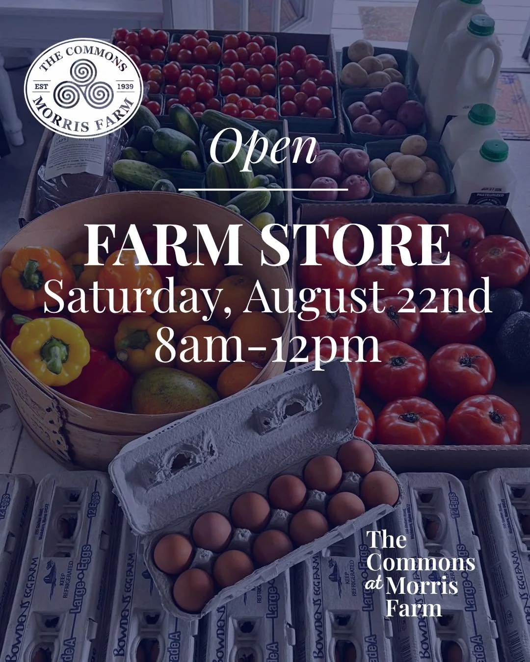 Romaine calm&hellip; the Farm Store is open this Saturday! 🥬 See you there 8am- 12pm!

#maine #Maine #farm #mainefarms #harvestseason