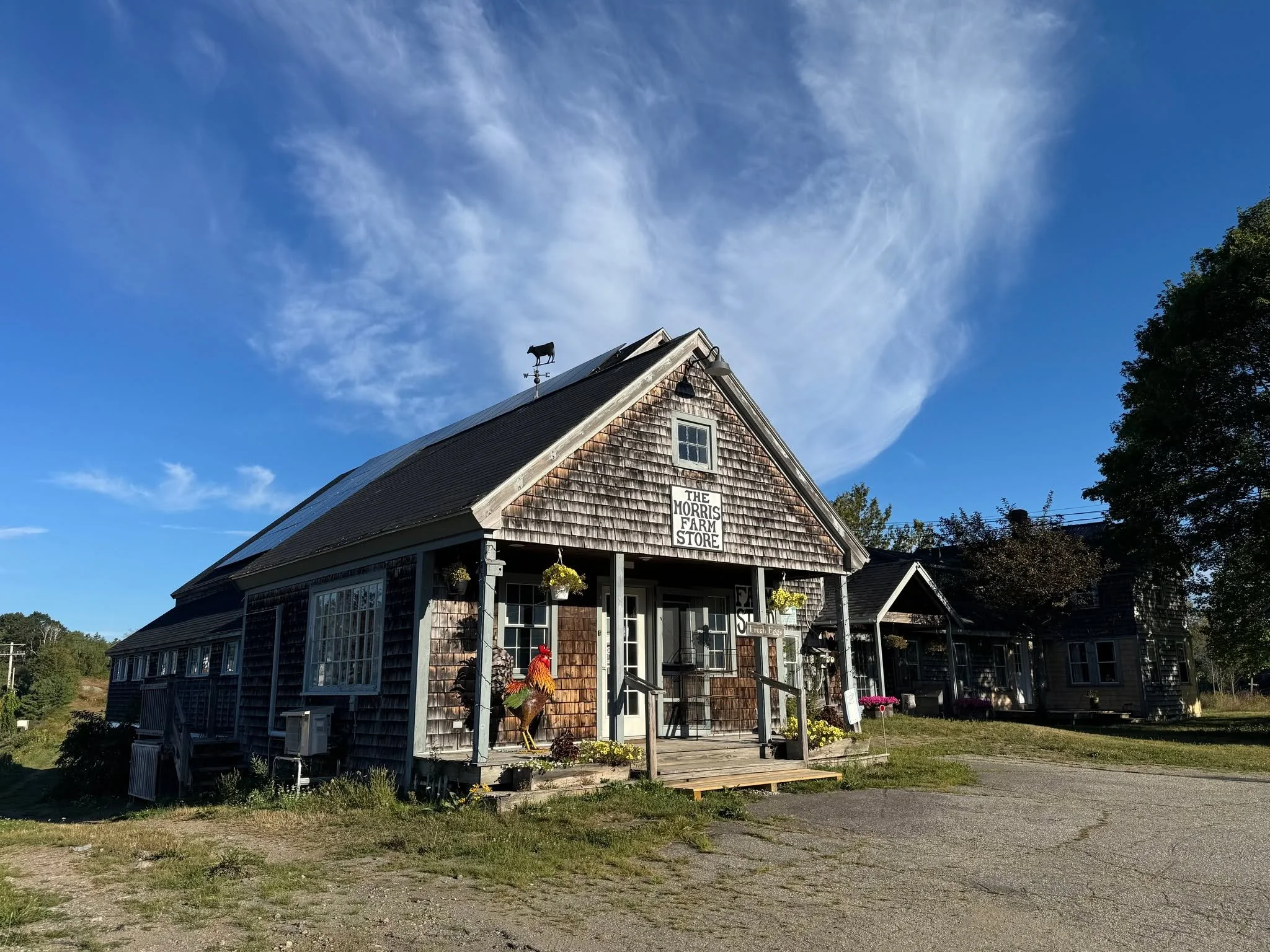 There is something truly special about a quiet morning at Morris Farm. Steeped in history and surrounded by rolling fields, the farm is a peaceful reminder of Maine&rsquo;s rich agricultural roots.

#MorrisFarmCommons #WiscassetMaine #MaineHistory #M