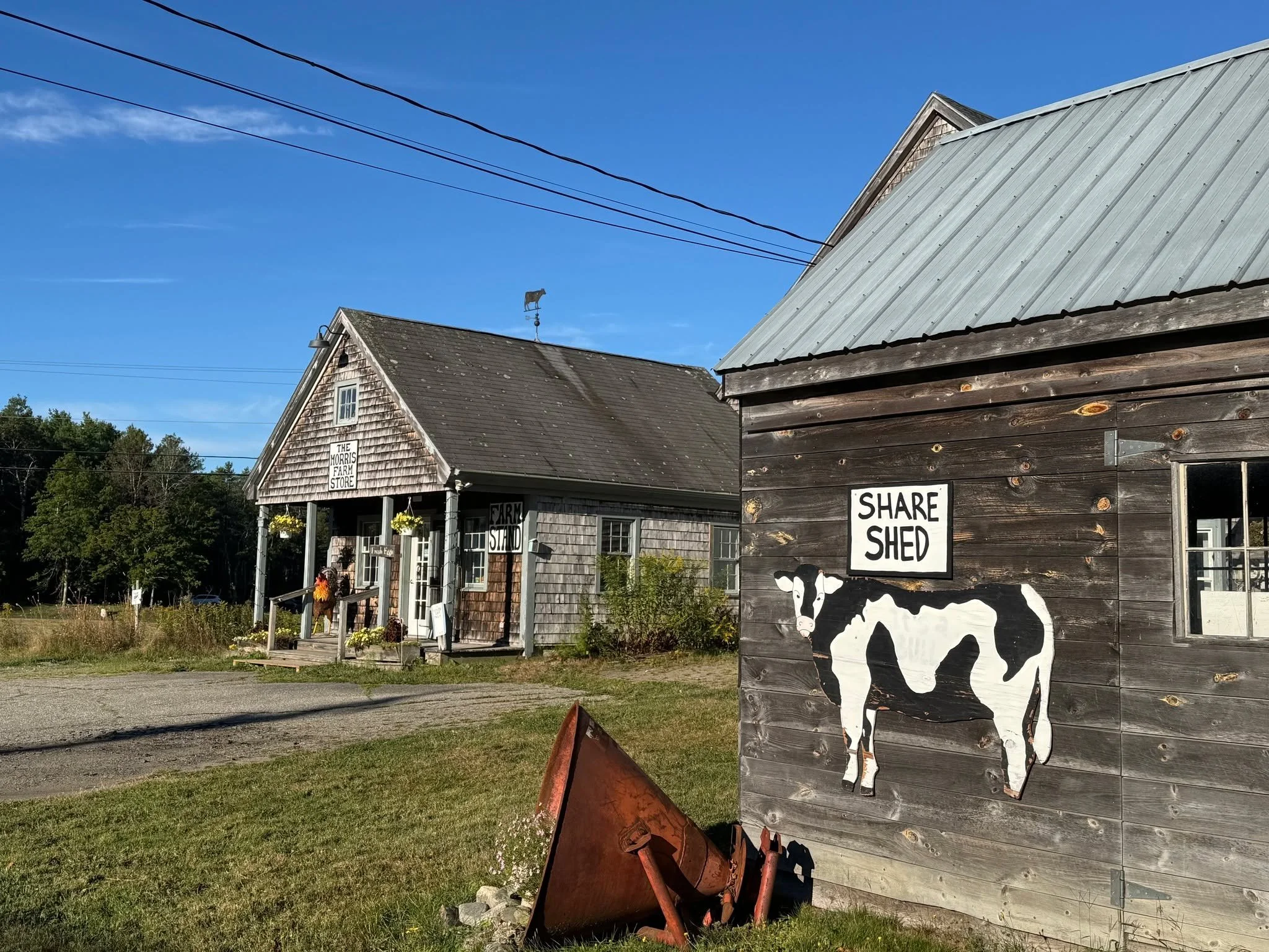 Community sharing in action! 🌱✨

Have you stopped by the Share Shed at Morris Farm Commons yet? Our community shed is built on a simple idea: take what you need, leave what you can, and share the local abundance.

Whether you have extra homegrown pr
