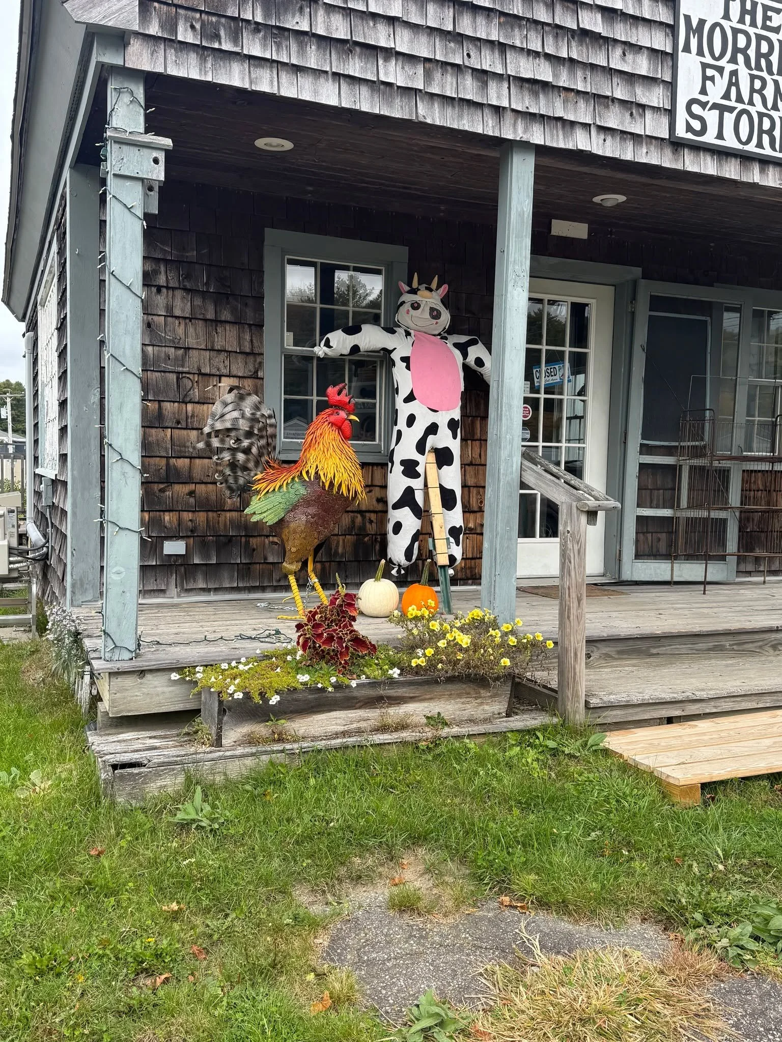 Holy cow, it&rsquo;s official! We&rsquo;ve thrown our straw into the ring for the Wiscasset Chamber of Commerce Scarecrow Contest. 🐮🌾

Meet our resident ScareCOW&mdash;currently chilling on the porch with the rooster, holding down the fort, and wel