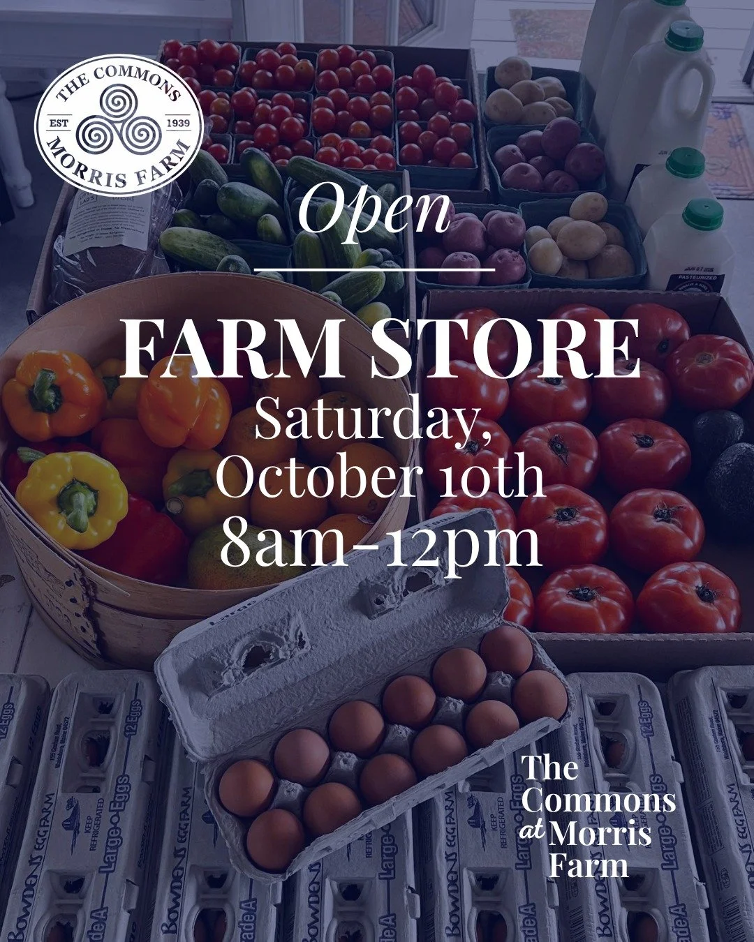There&rsquo;s nothing quite like October in Maine&mdash;crisp air, stunning foliage, and all the peak autumn magic! 🍁🍂🍎

Celebrate the season with us! The Farm Store at The Commons at Morris Farm is open this Saturday from 8:00 AM to 12:00 PM. Sto