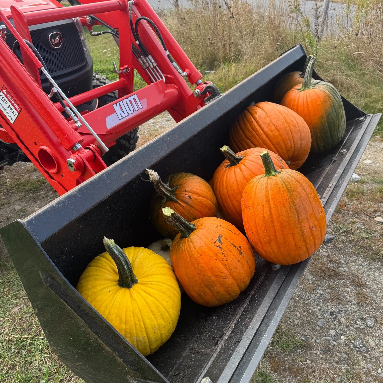 As the days grow a little shorter, our gratitude only grows bigger. Pull up a chair, cozy up, and join us in celebrating the beauty and abundance of fall in Maine!

#TheCommons #MorrisFarm #Autumn #Maine #Wiscasset