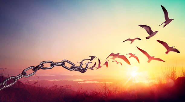 Freedom from Unwanted Cycles 