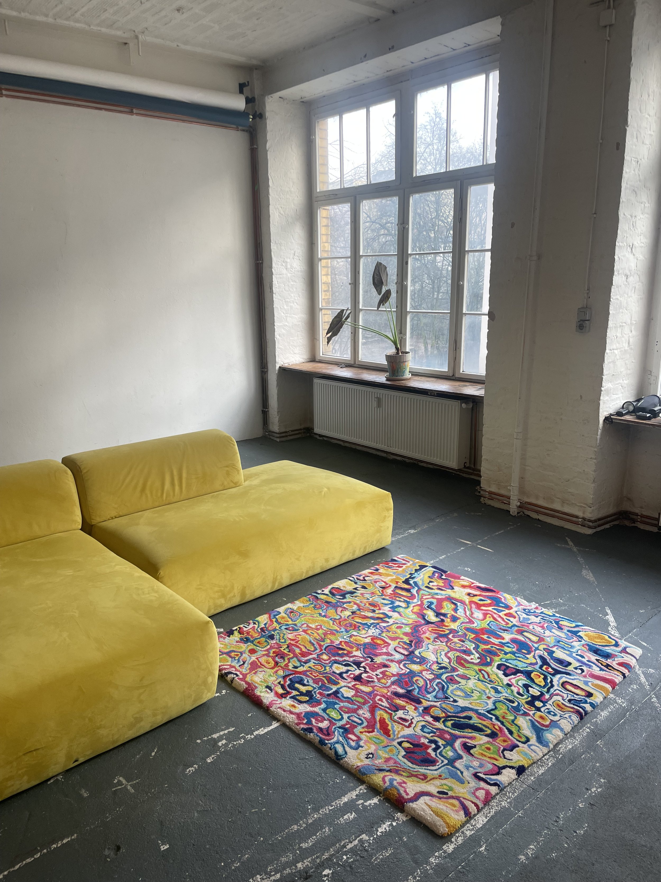 petri dish - tufted rug