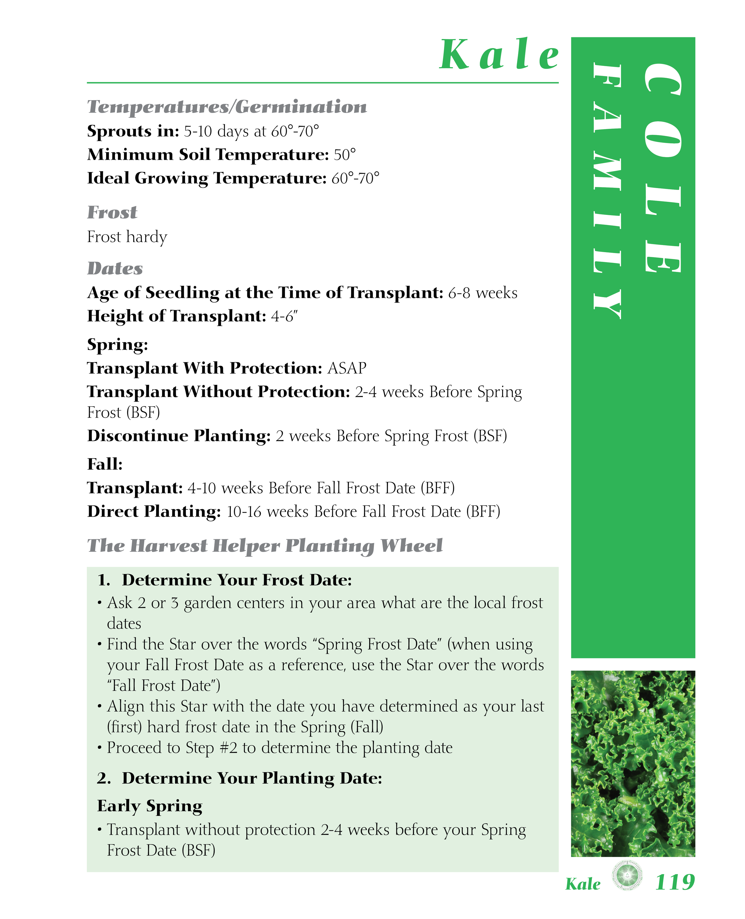 Kale PNG for Website119-125.png