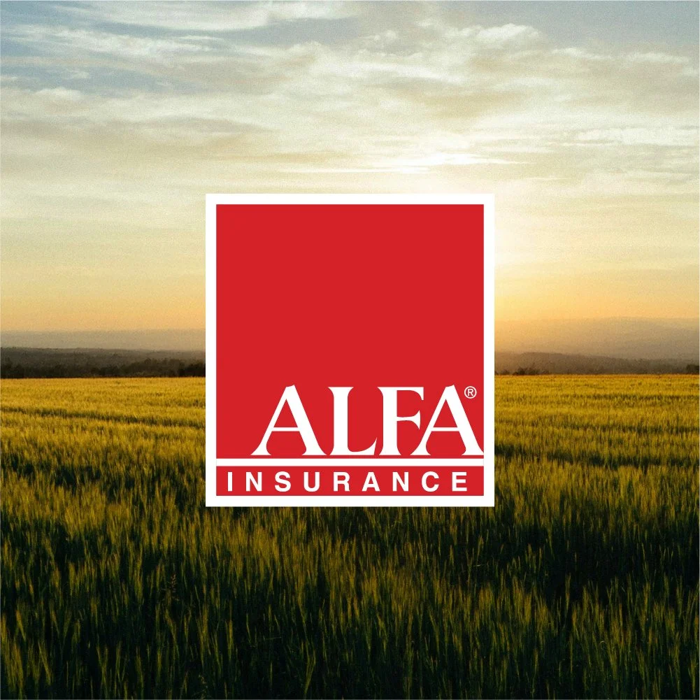 ALFA INSURANCE
