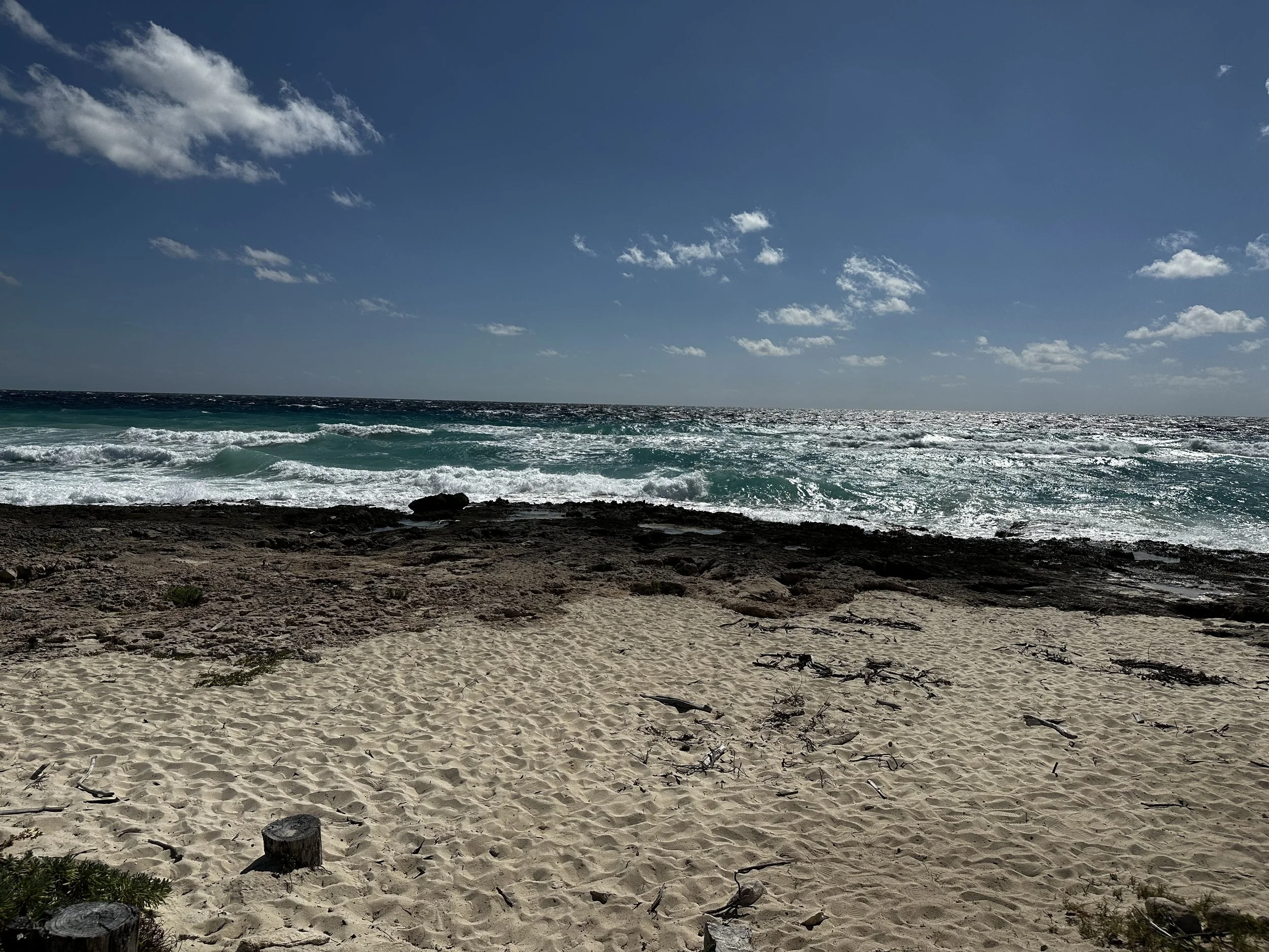 Punta Sur Eco Beach Park