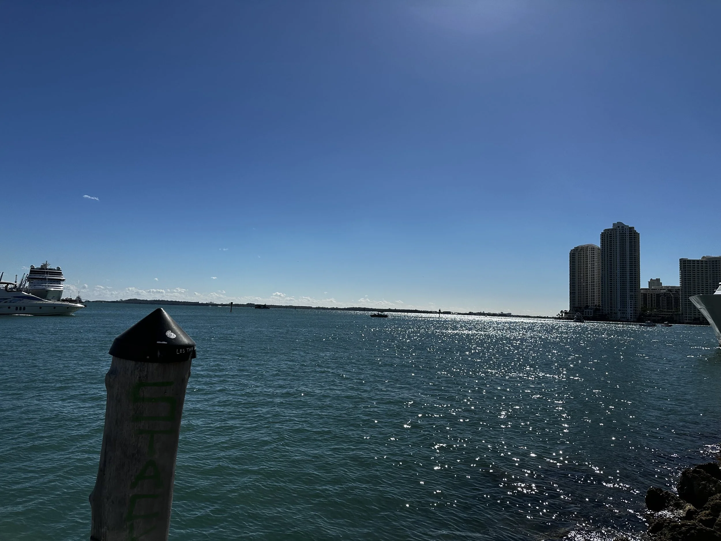 IMG_0314.jpeg
