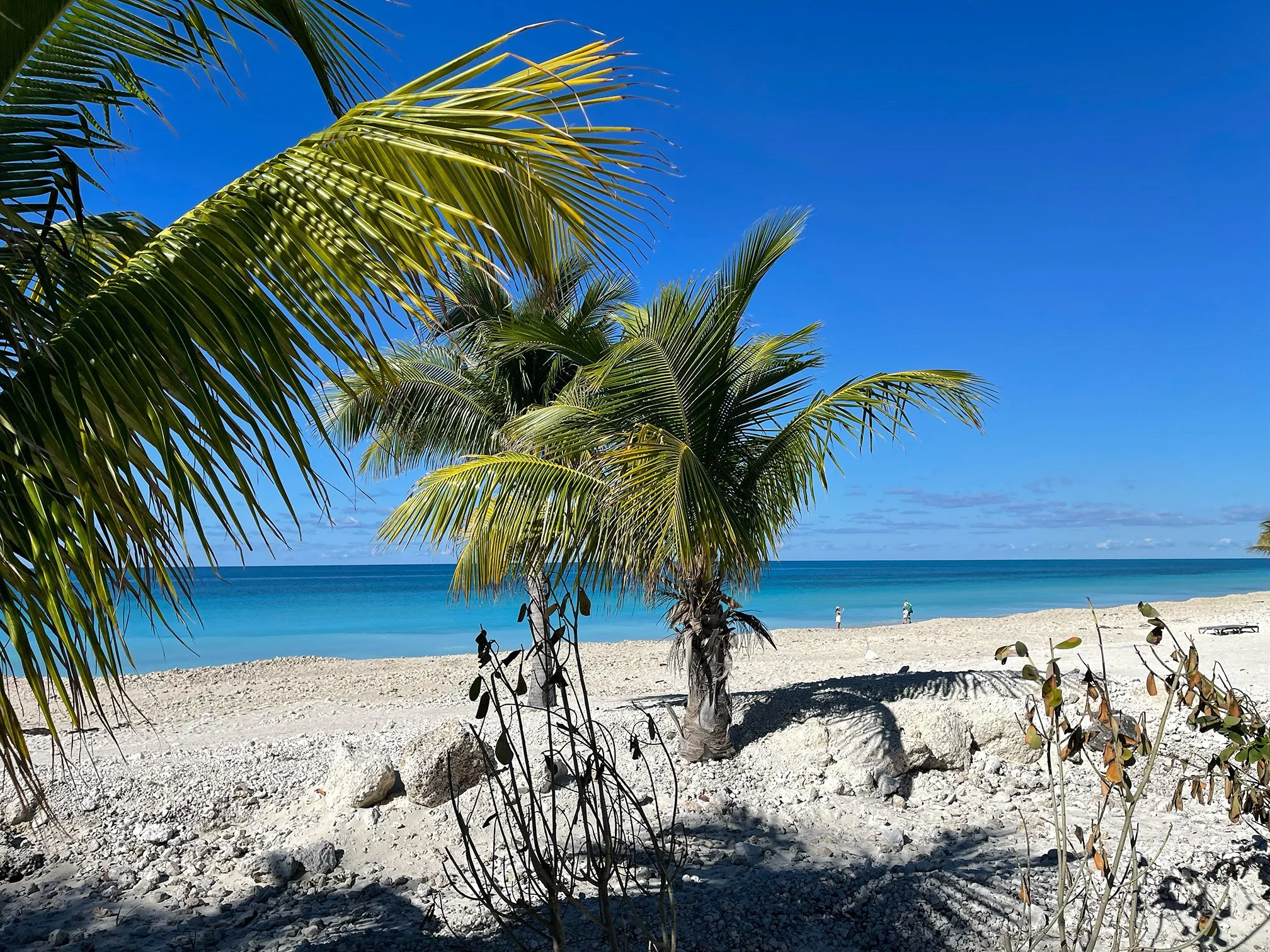 Ocean Cay/Bahamas