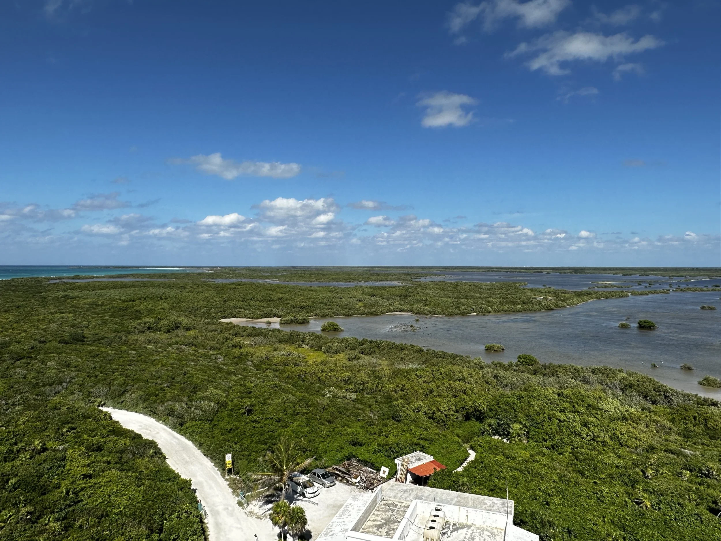 Mangrove Lagoon in Punta Sur Eco Beach Park