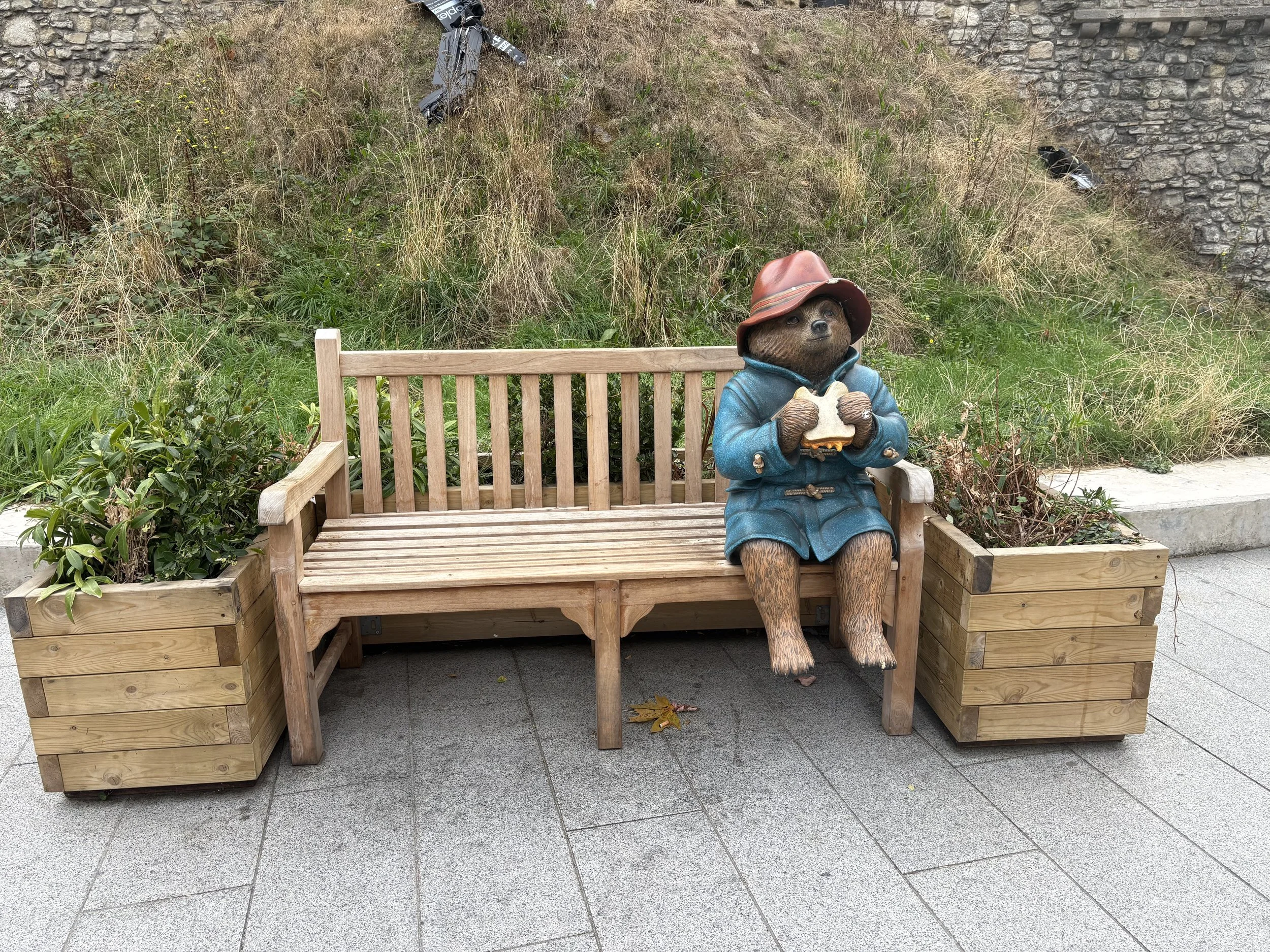 IMG_3649.jpeg