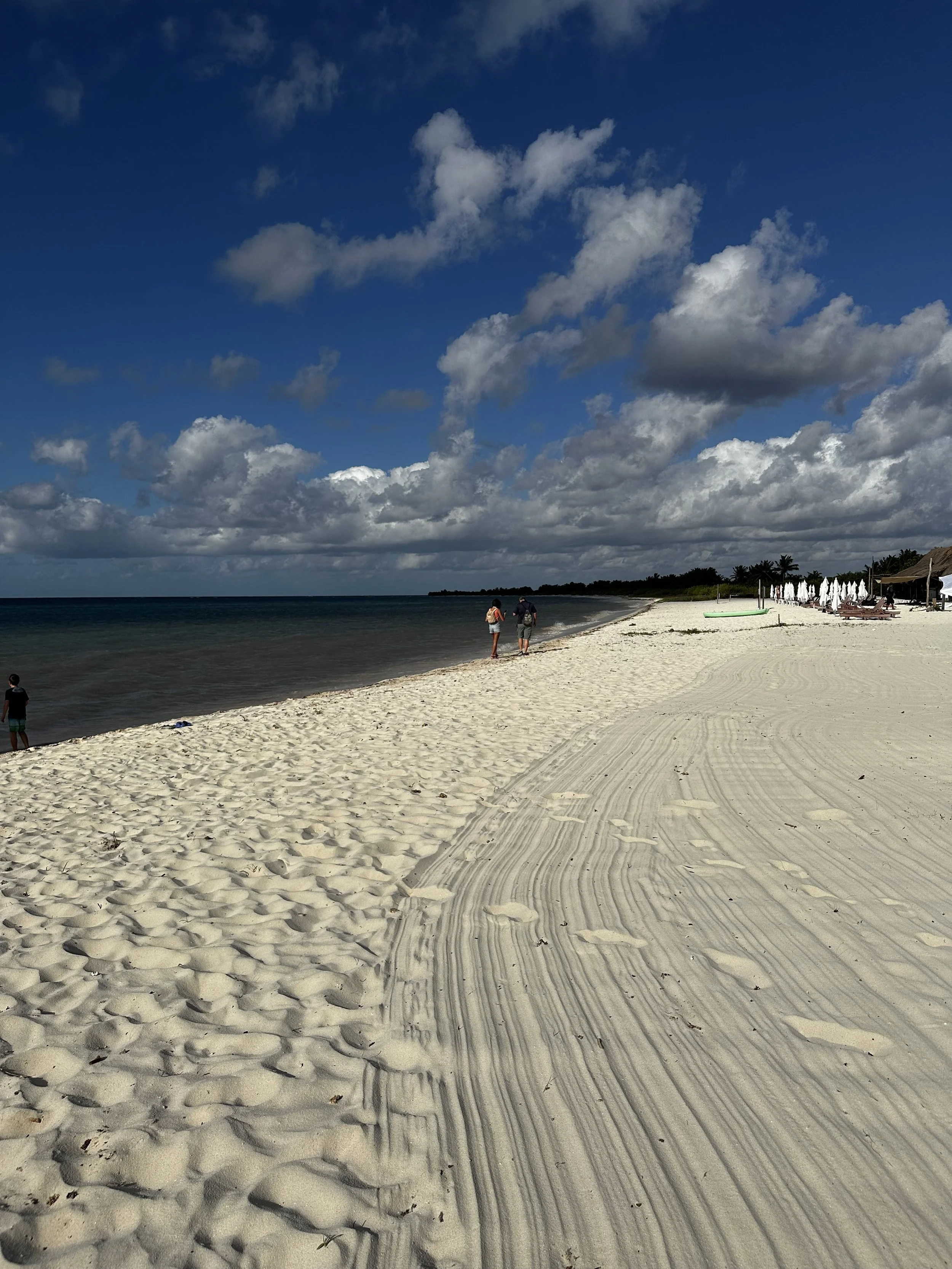 Punta Sur Eco Beach Park