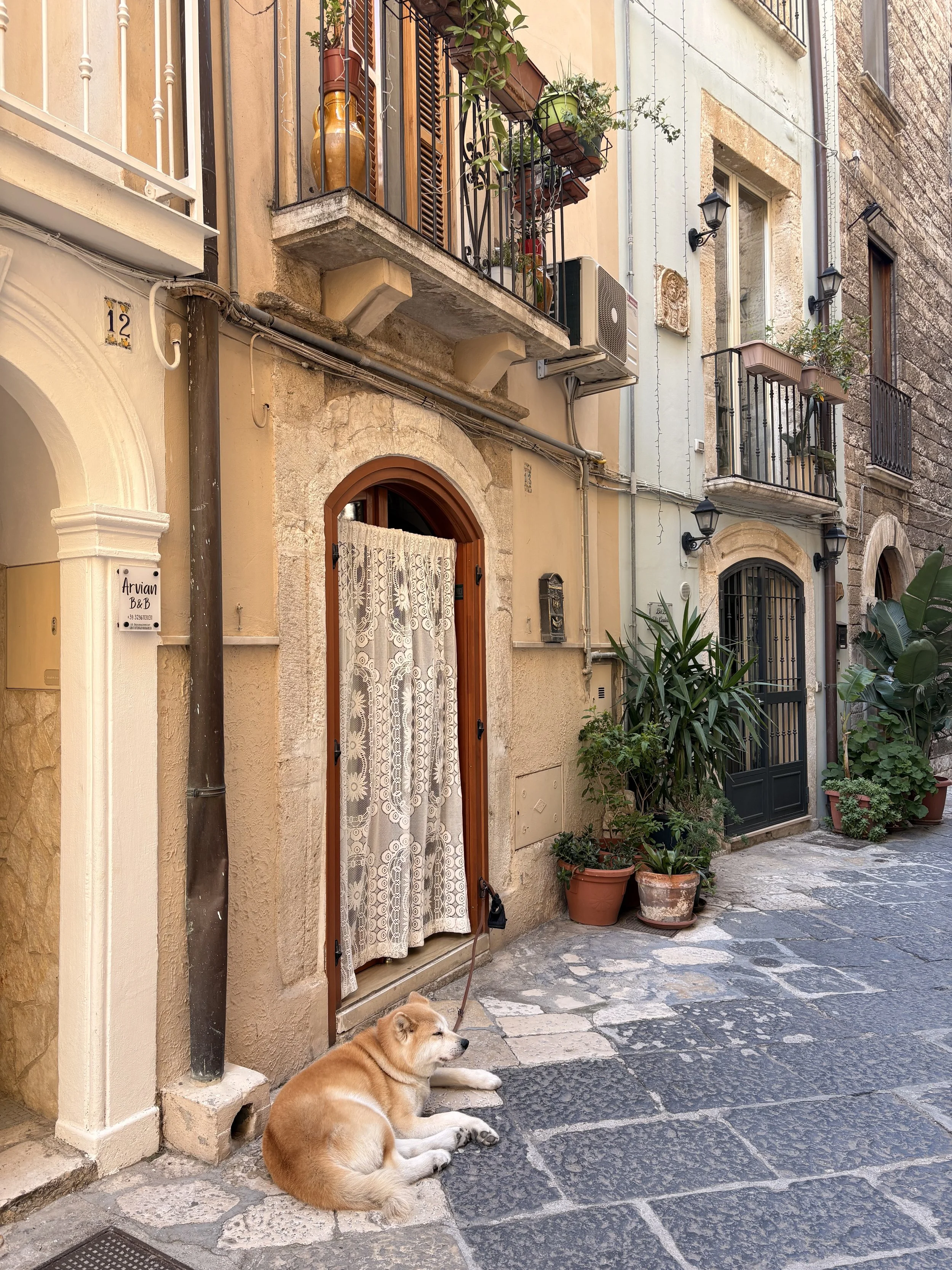 Bari