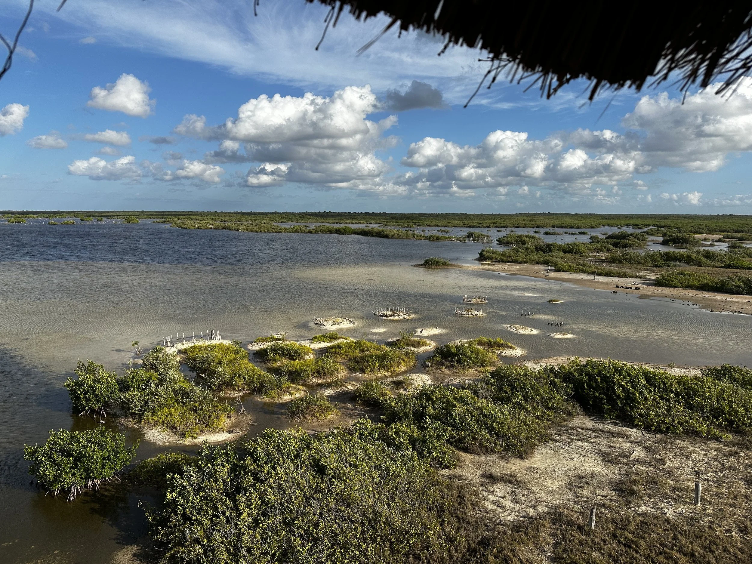 Punta Sur Eco Beach Park