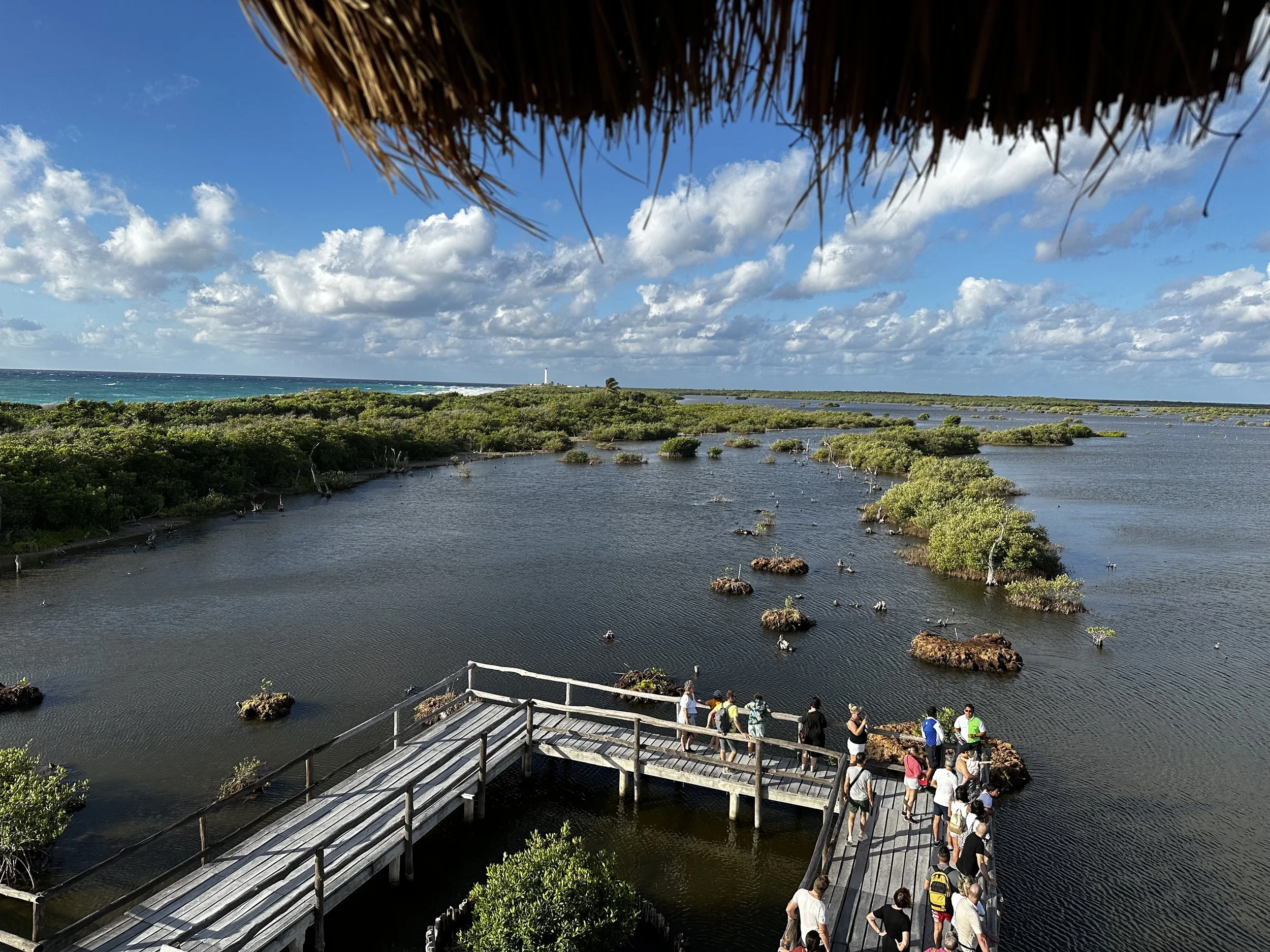 Punta Sur Eco Beach Park