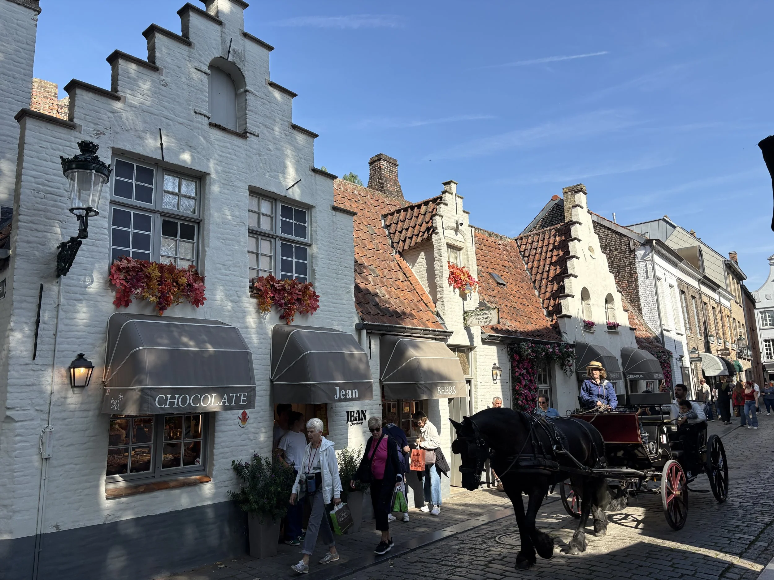 lovely scenery of the flemish houses