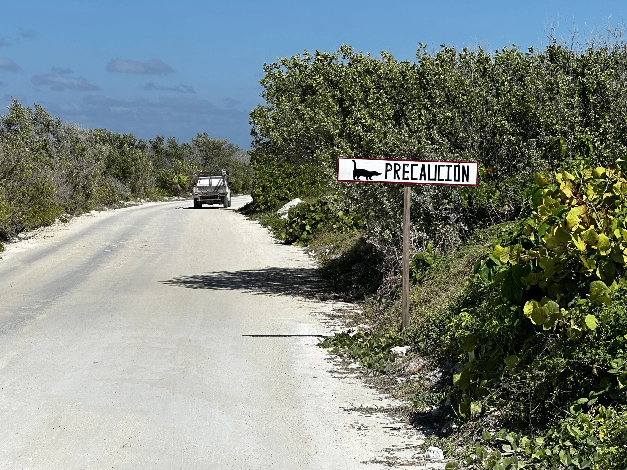 Cozumel