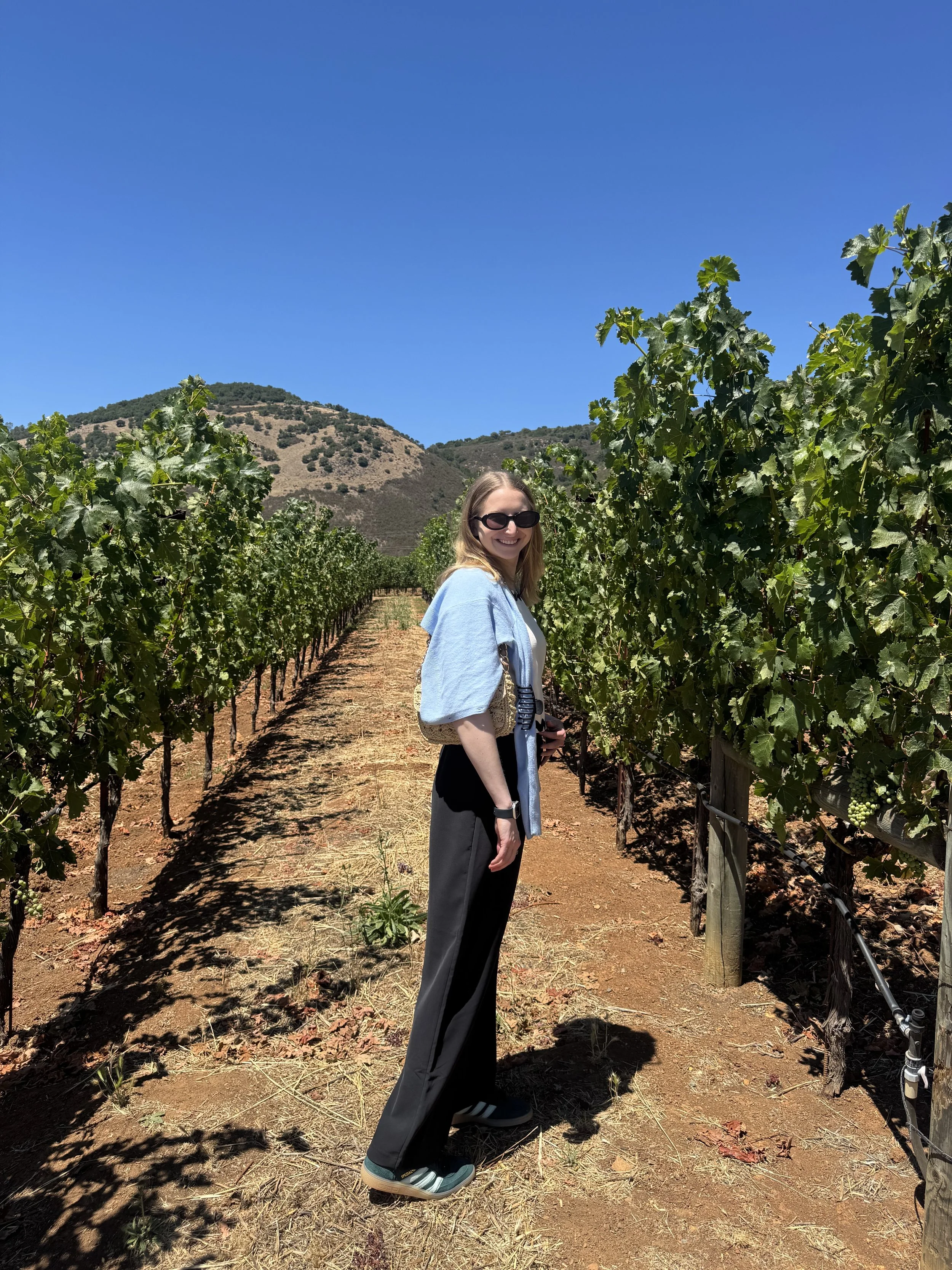 Dining and Hotel Hopping around Northern California