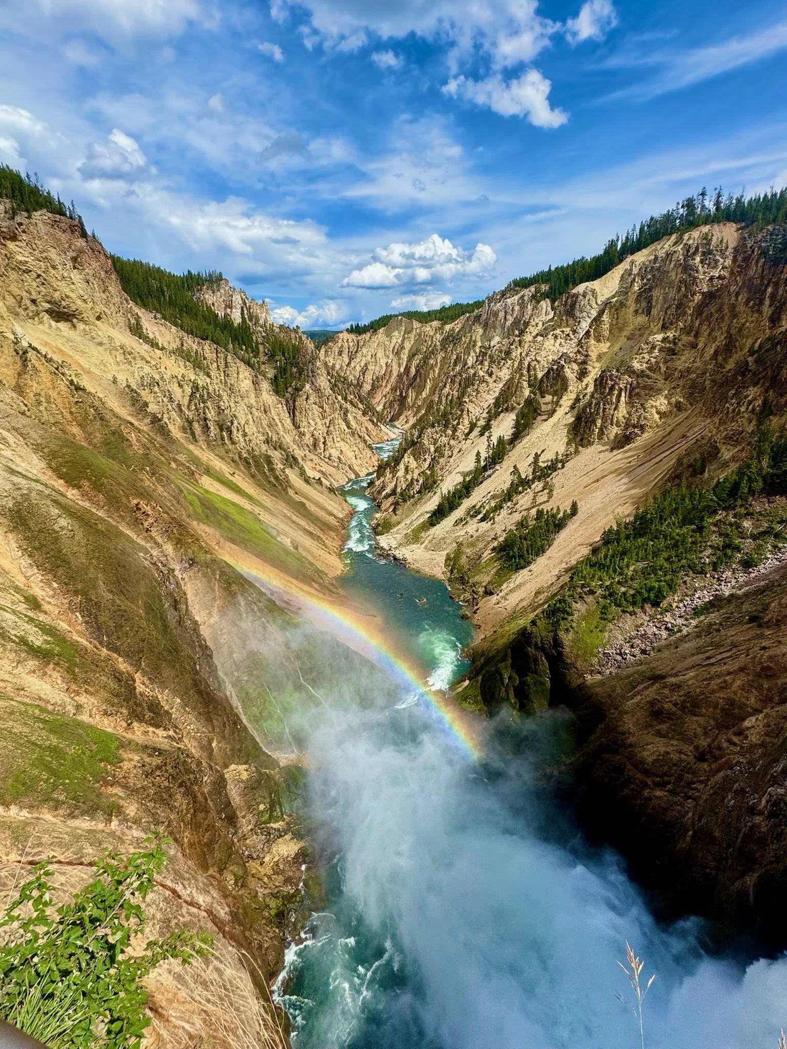 The Grand Canyon of Yellowstone with a rainbow