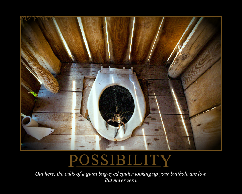 POSSIBILITY