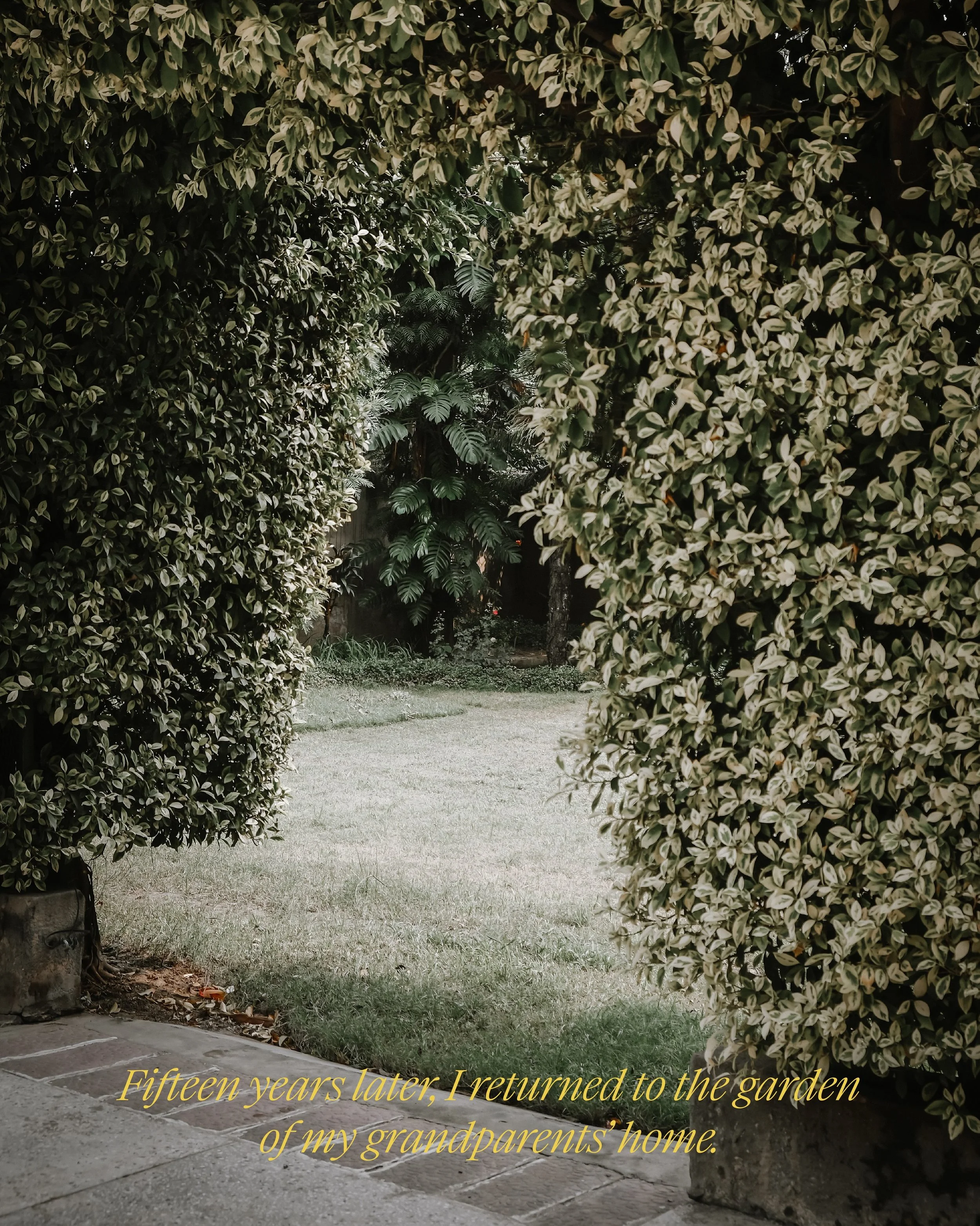 After 15 years, I returned to the garden of my grandparents&rsquo; home.
&bull;
This summer, I began preparing for my return to Pakistan, fifteen years after my last visit. I was planning to come in September.

Then, after a family camping trip, my m