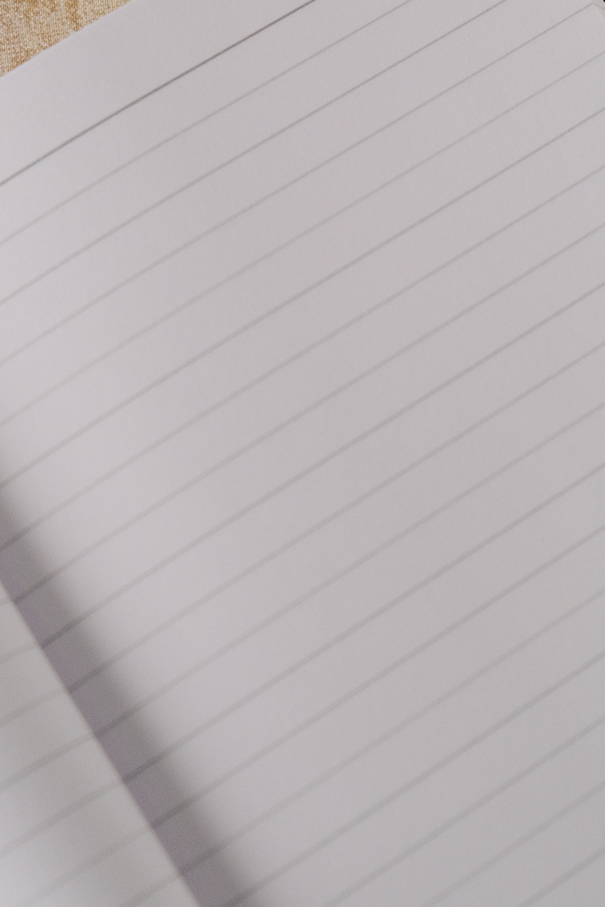 Rose_Notebook_Open.png