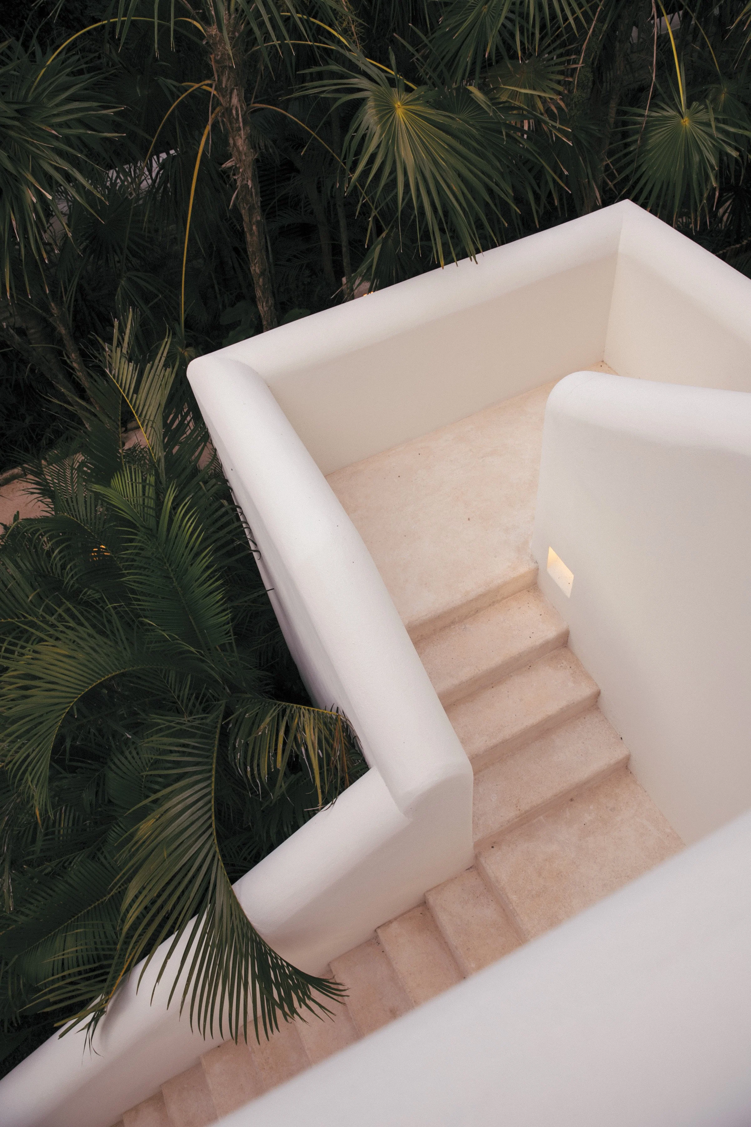 White staircase with beige steps surrounded by tall green tropical plants with long, slender leaves.
