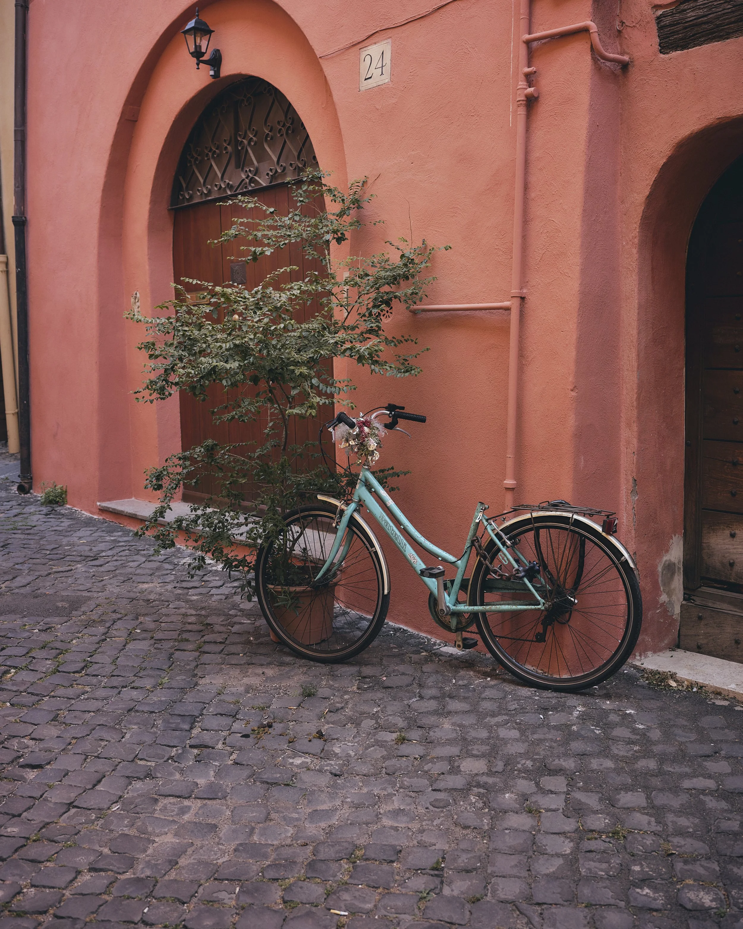 A light blue bicycle with a basket attached to the front, parked against a pink-colored wall with a small tree in front of it, on cobblestone street. The wall has a door with a decorative iron arch and an address number 24 above it, and a black lante