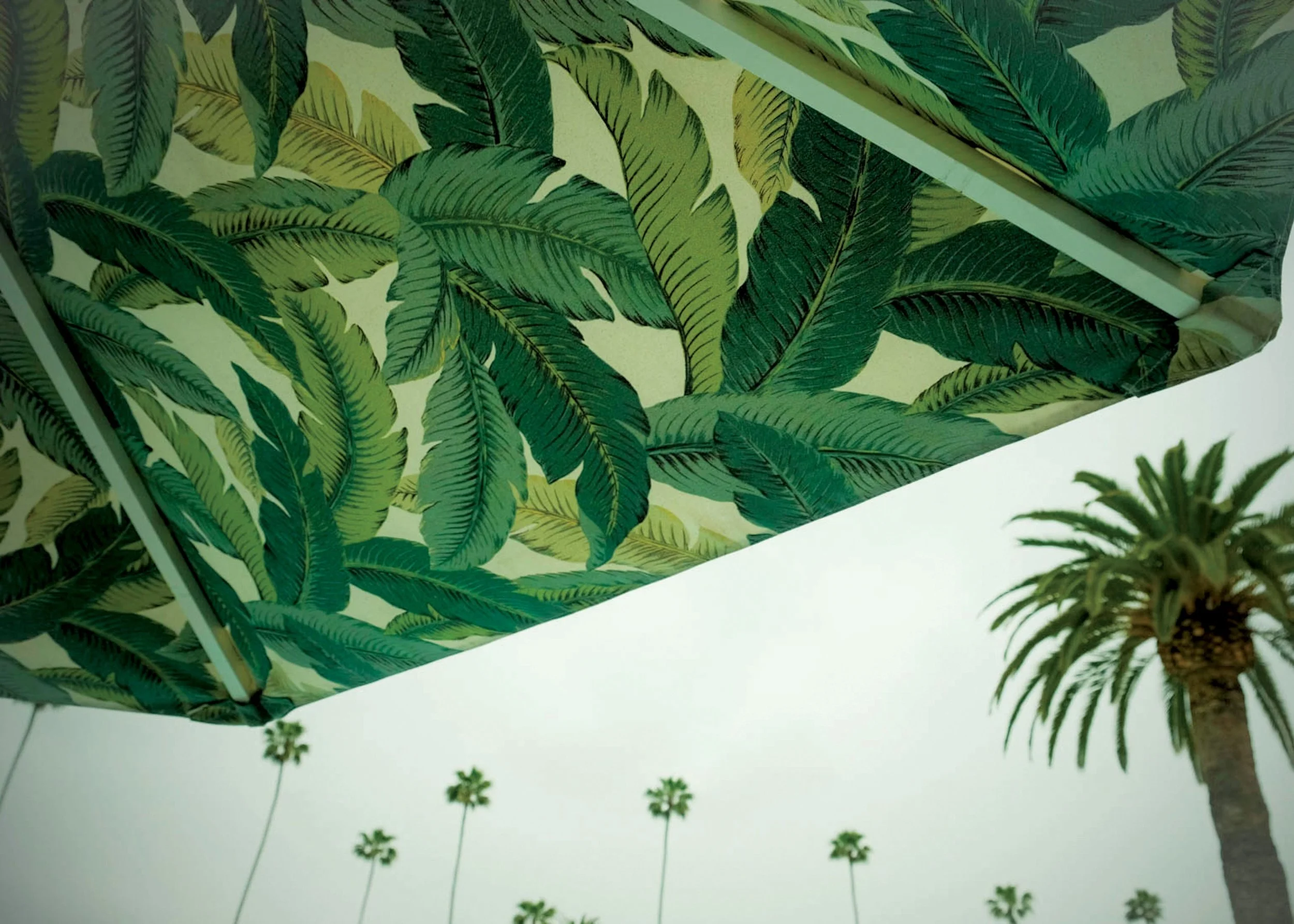 Large green palm leaves printed on a rectangular ceiling panel with a white background, installed on a ceiling. Smaller potted palms are visible on the ground below.