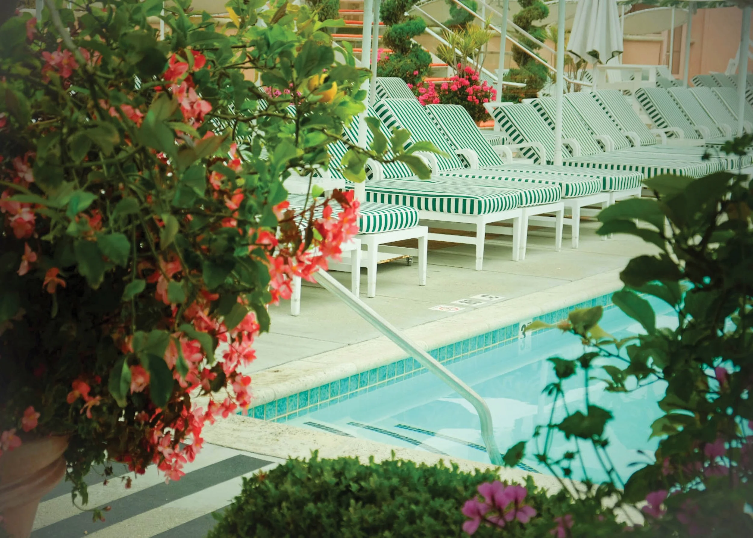 A row of white lounge chairs with green and white striped cushions on a poolside patio, surrounded by pink and red flowers and green foliage.