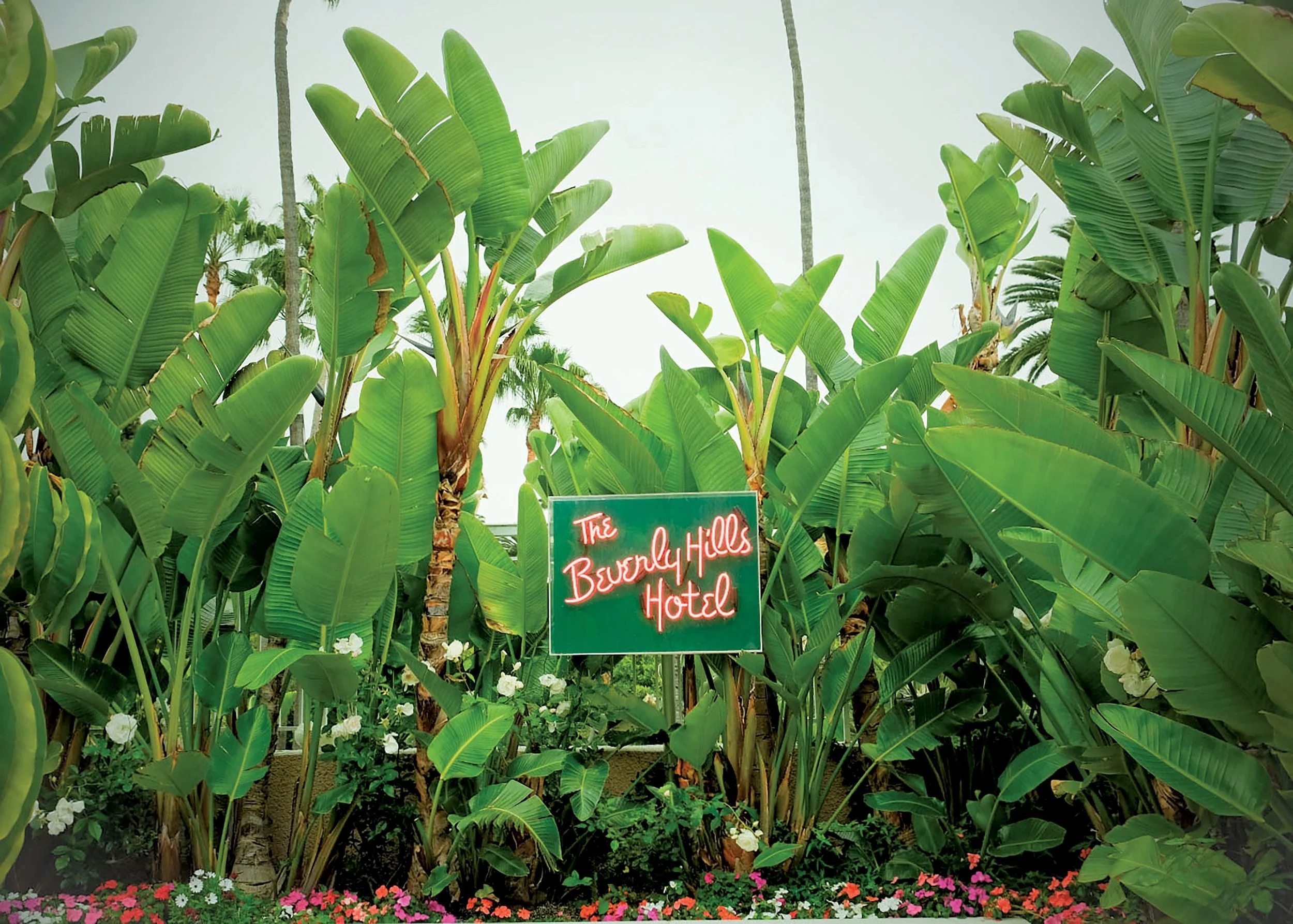 Lush tropical plants and flowers surround a neon sign reading 'The Beverly Hills Hotel' amidst a garden-like setting.