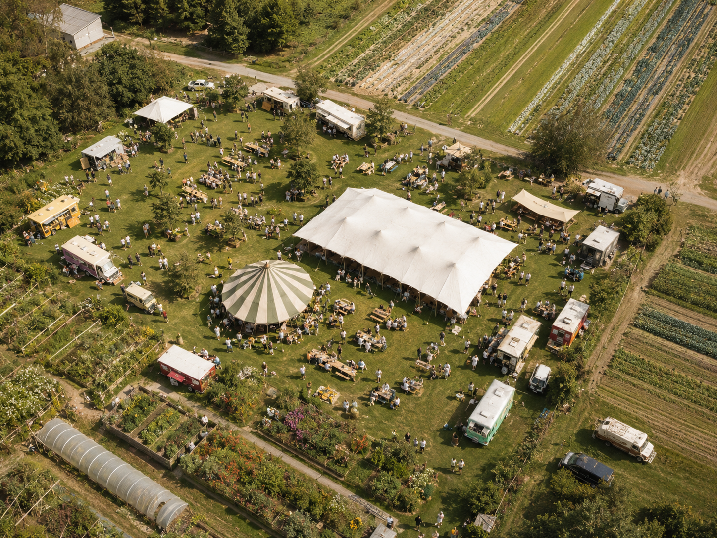Summer Festival