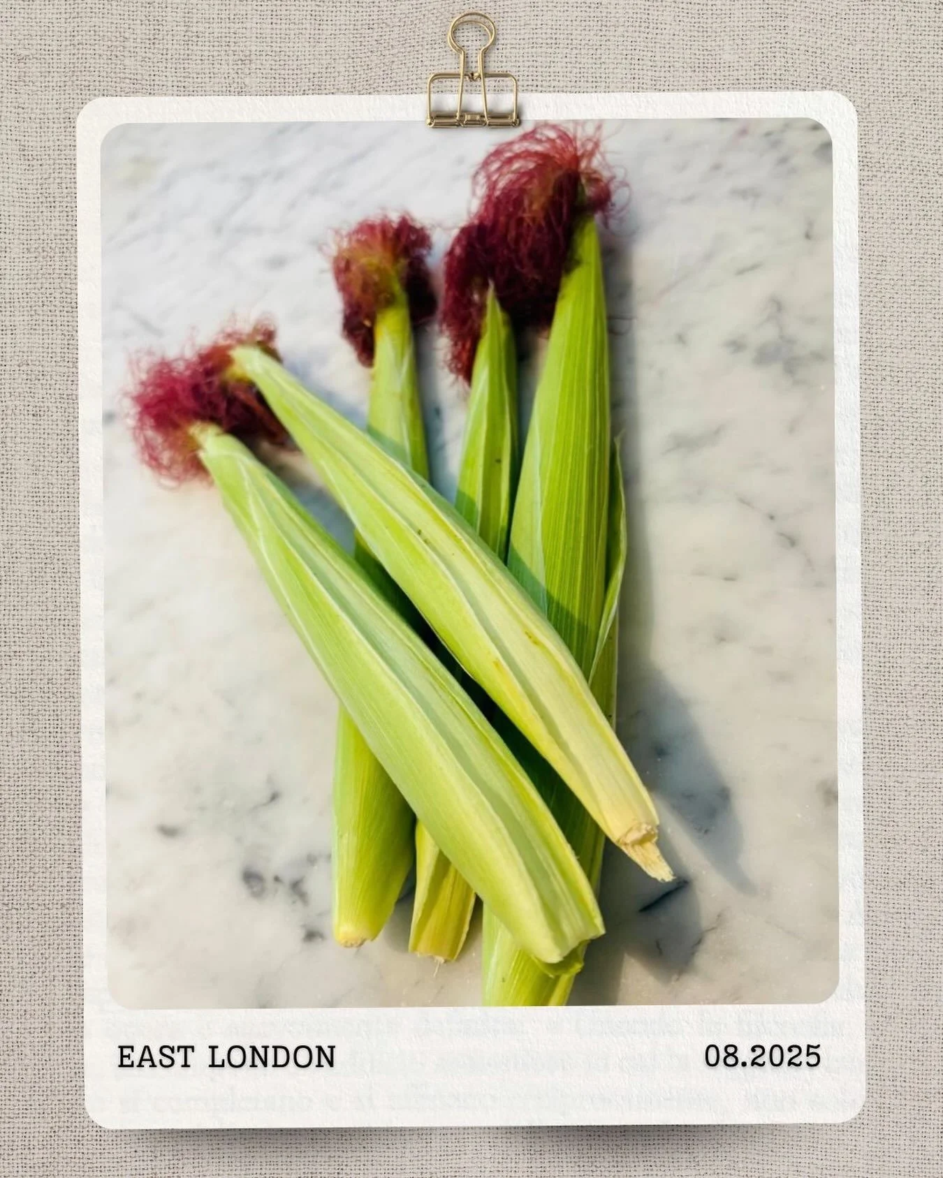 Corn grown in East London.

Not baby corn. Not Silver Queen. Rather a city hybrid that still tasted of home. 

My husband is from Carteret County, and I have watched him try to grow corn almost everywhere we have lived. Different gardens, different c