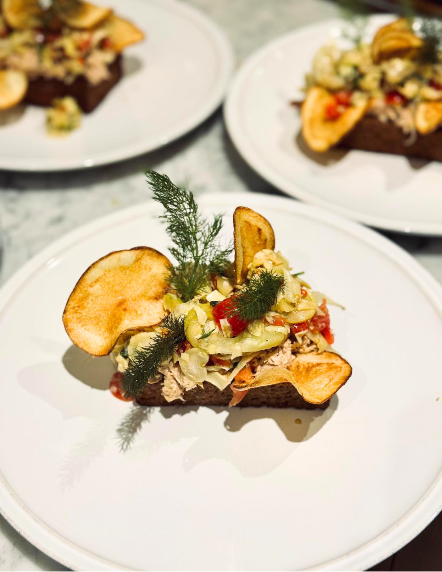 Gourmet dish on a white plate featuring a slice of dark bread topped with shredded vegetables, herbs, and crispy chips, exuding an elegant presentation.