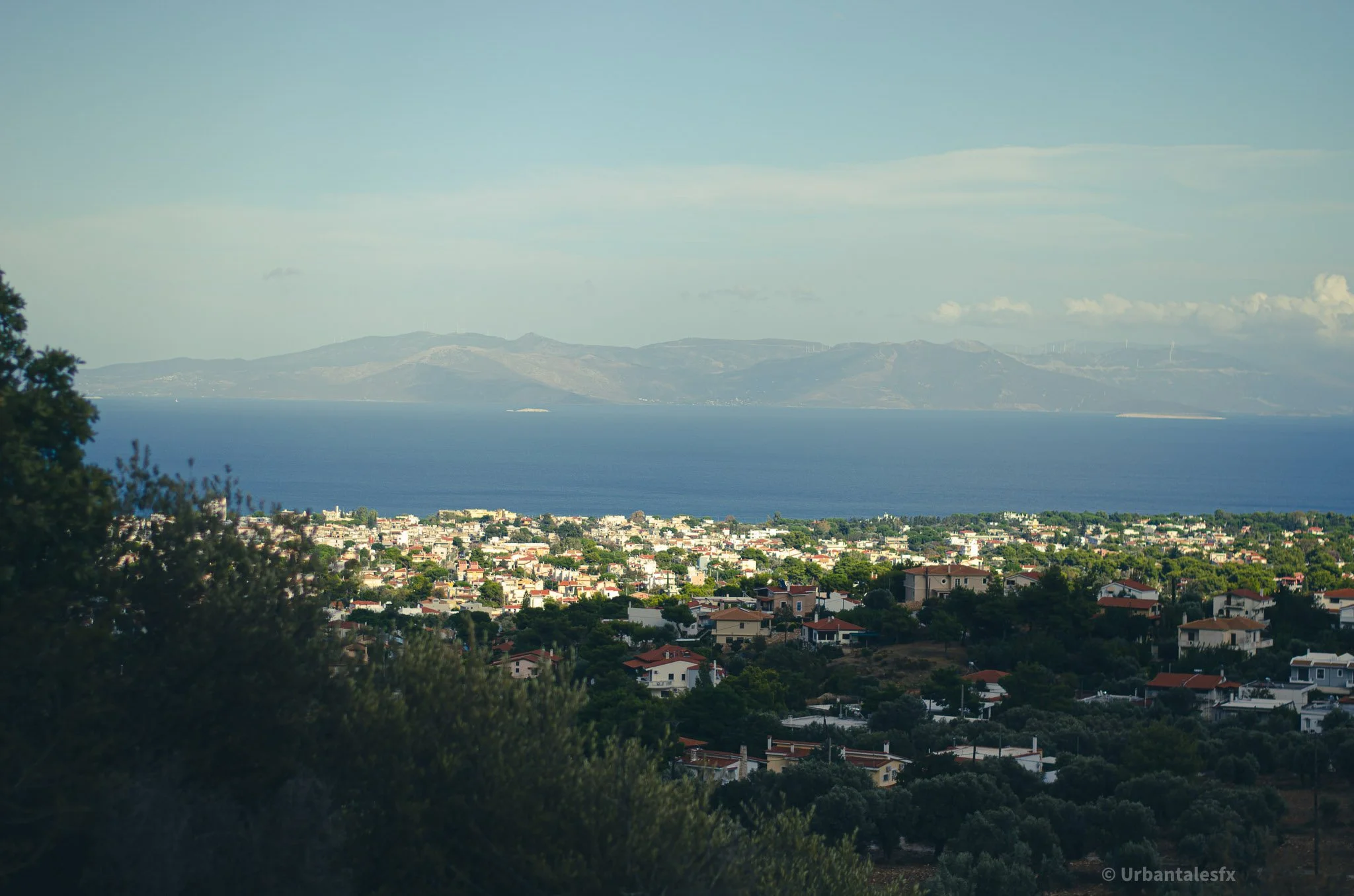 DSC_0340.jpg