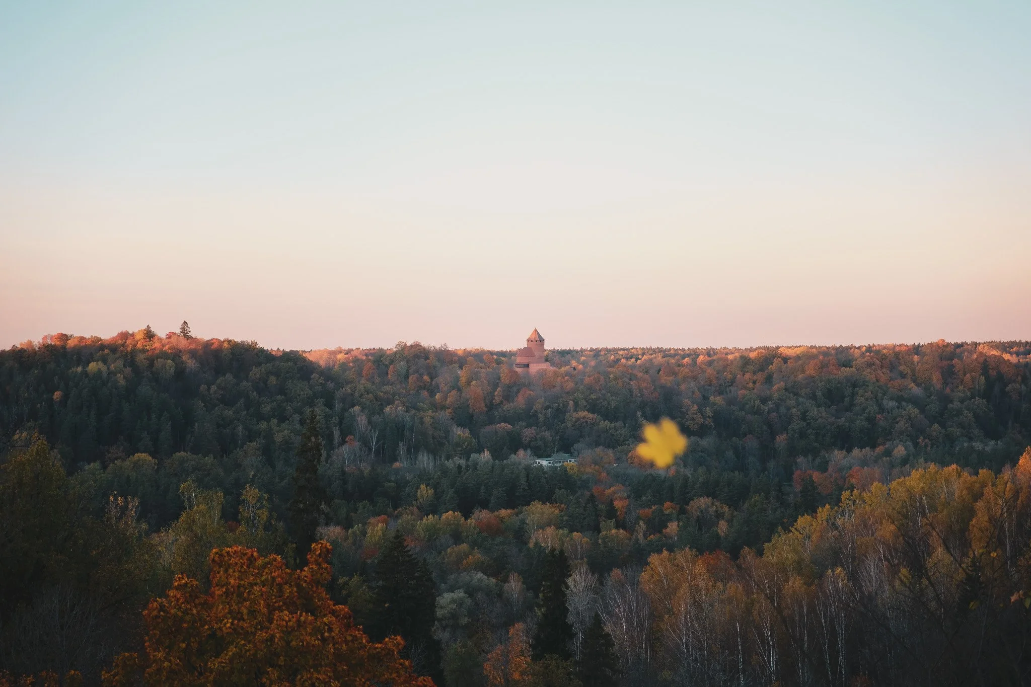 Landscapes