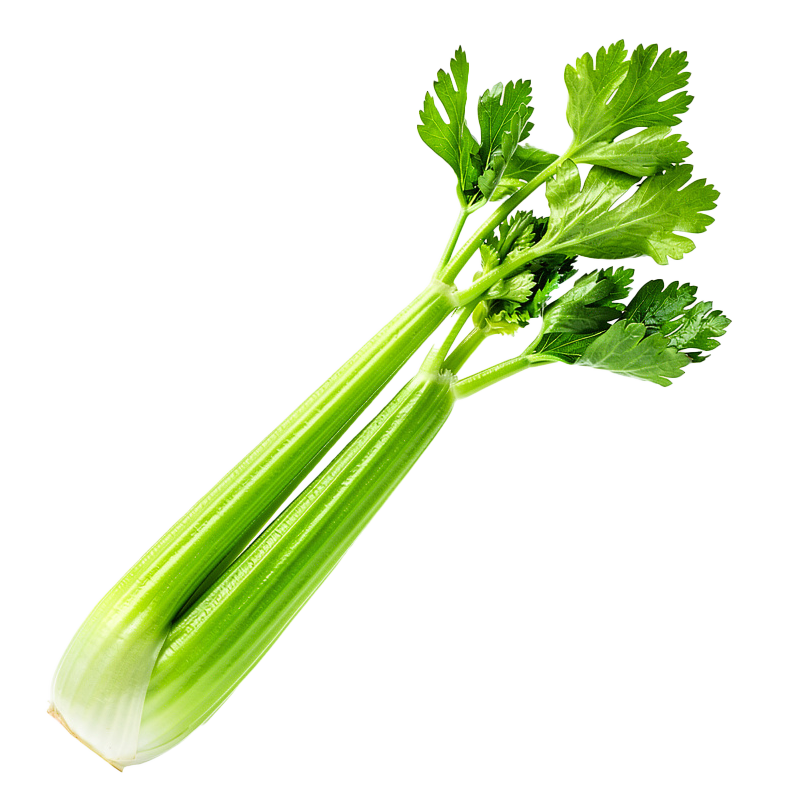 Fresh celery