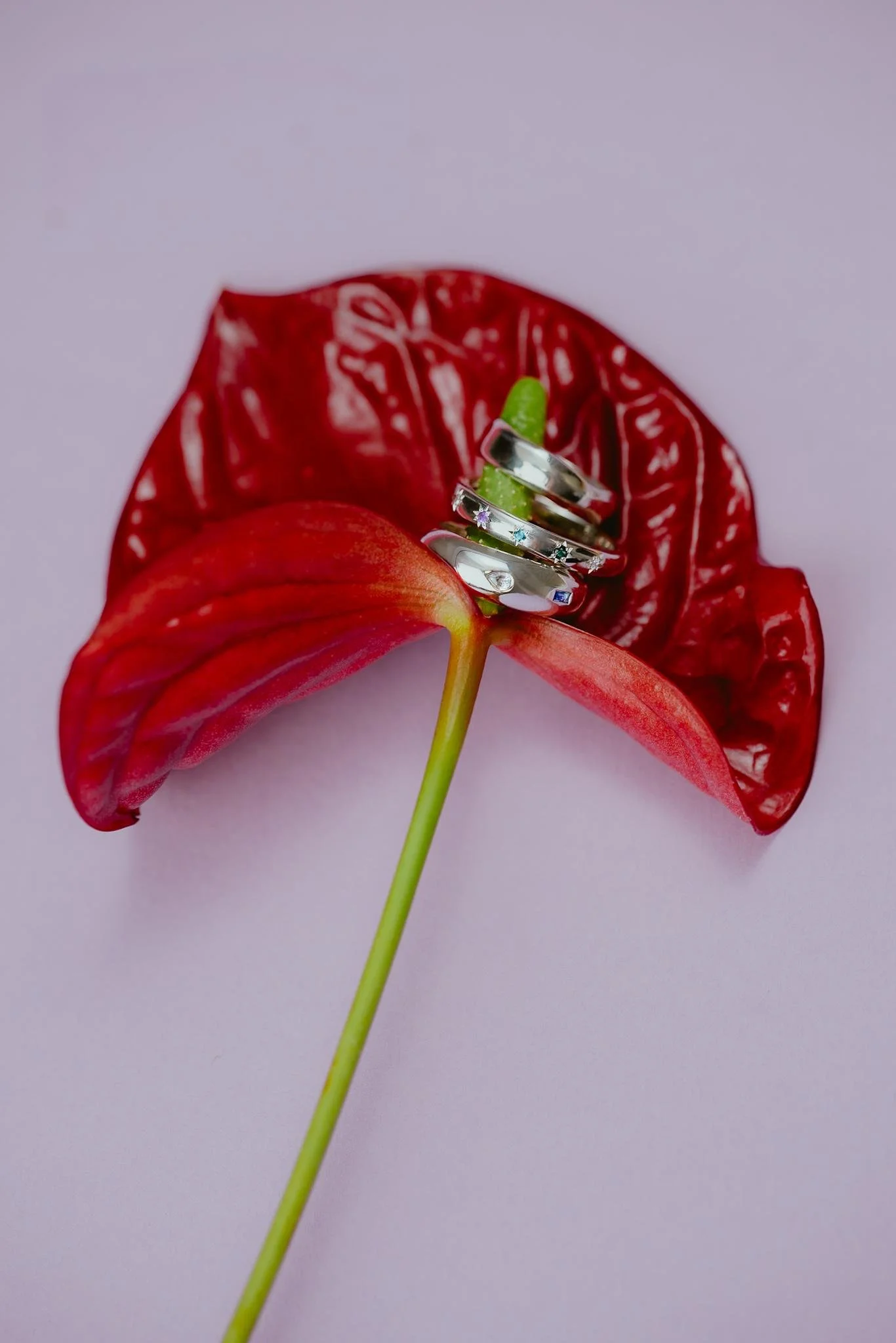 Media (37).jpg