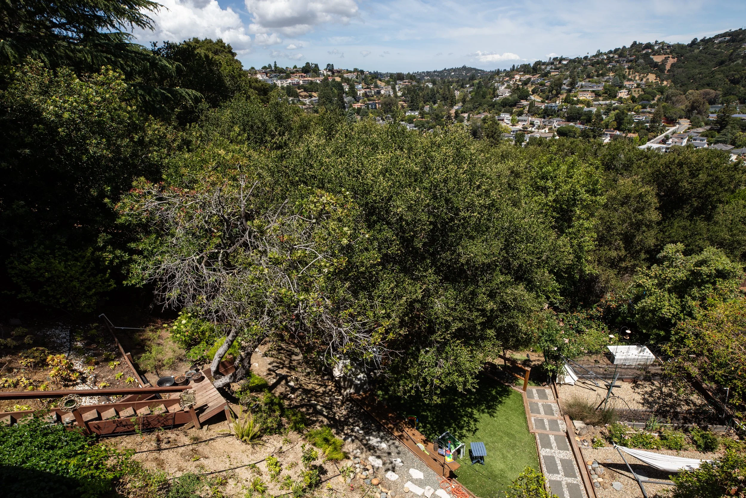 19-Coronado_Matt_Anello-2745-MLS.jpg