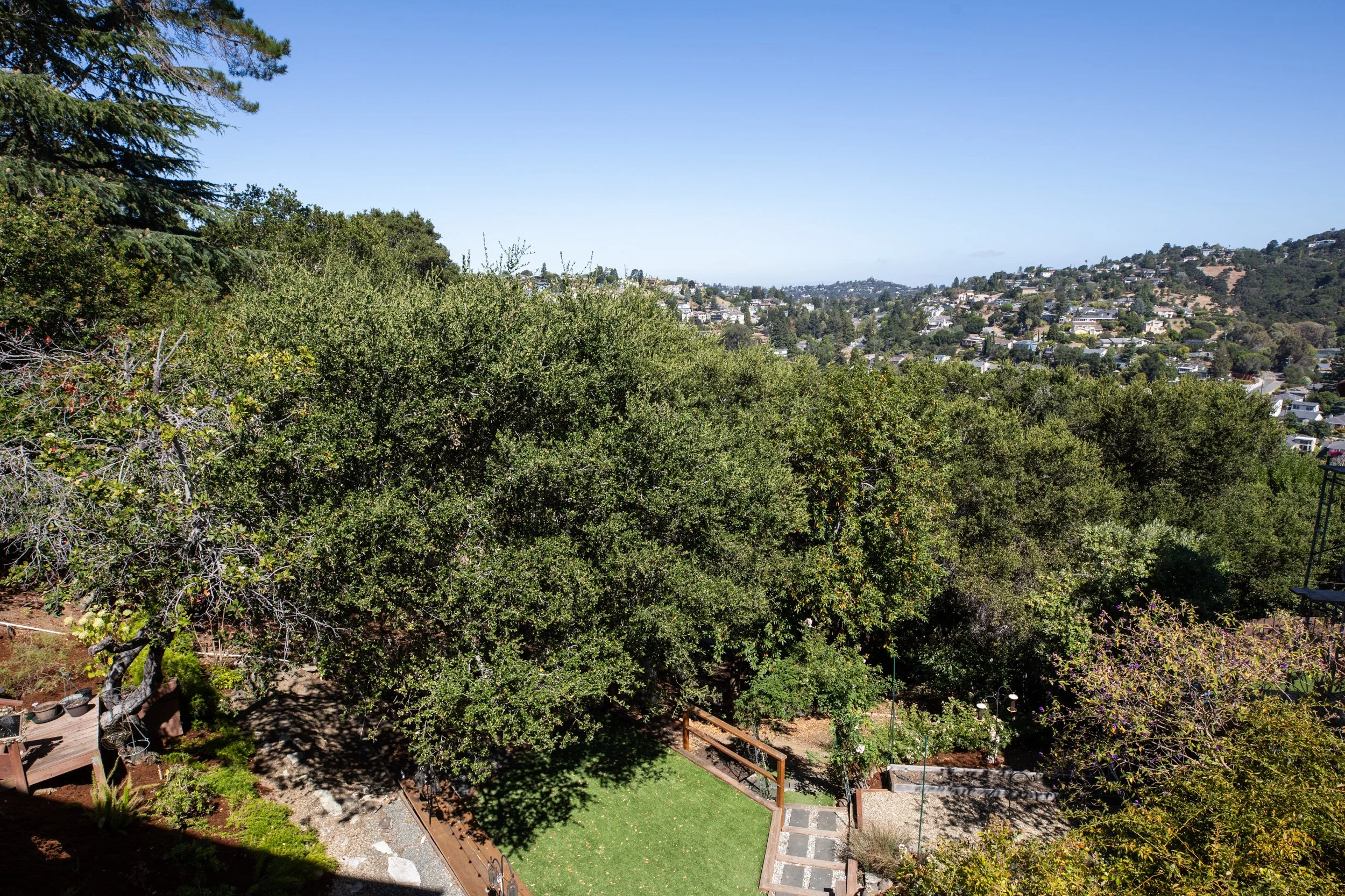 15-CoronadoNew_Matt_Anello-3032-MLS.jpg