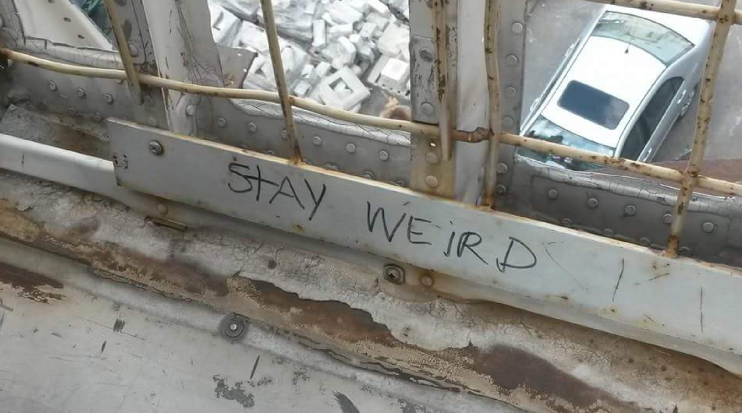 Close-up of an old, rusty industrial window with graffiti that says 'STAY WEIRDO' written on it.