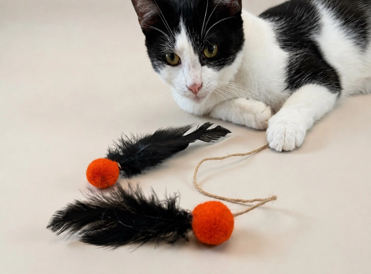 Natural Wool Feather Cat Wand